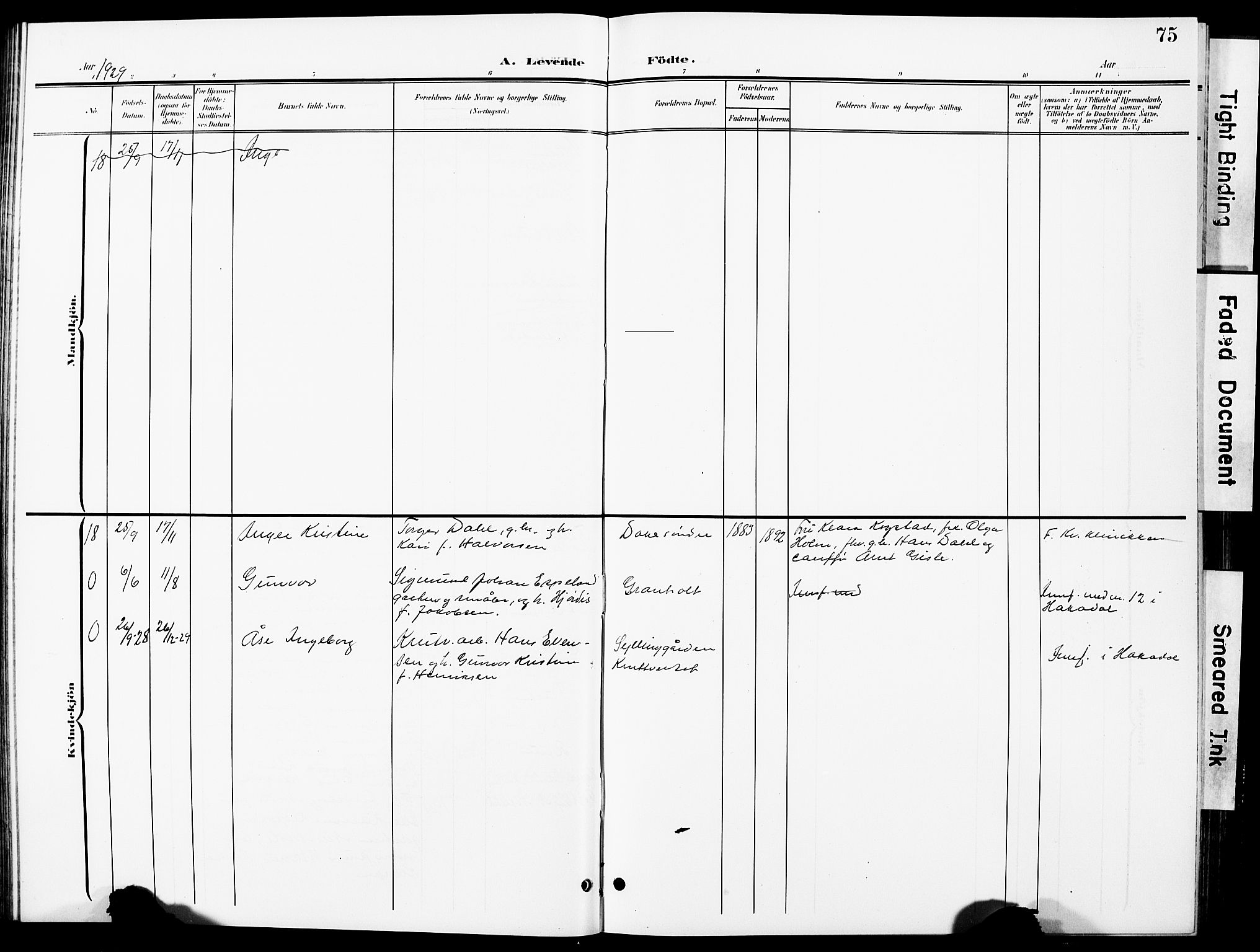 Nittedal prestekontor Kirkebøker, SAO/A-10365a/G/Ga/L0003: Parish register (copy) no. I 3, 1902-1929, p. 75