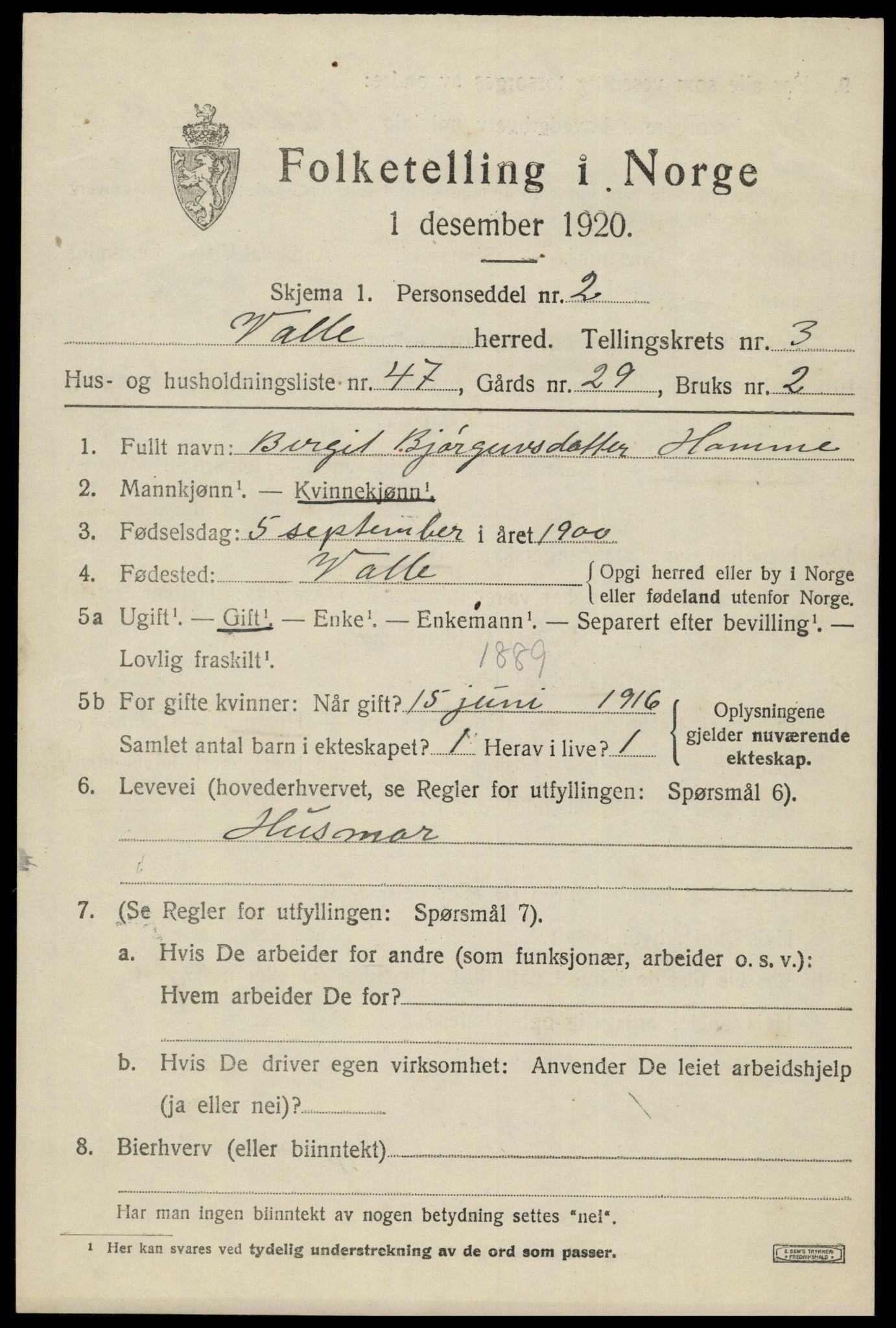 SAK, 1920 census for Valle, 1920, p. 1989