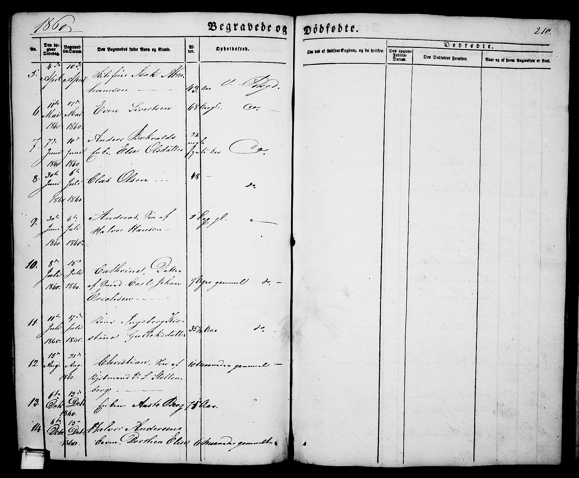 Porsgrunn kirkebøker , SAKO/A-104/G/Ga/L0002: Parish register (copy) no. I 2, 1847-1877, p. 210