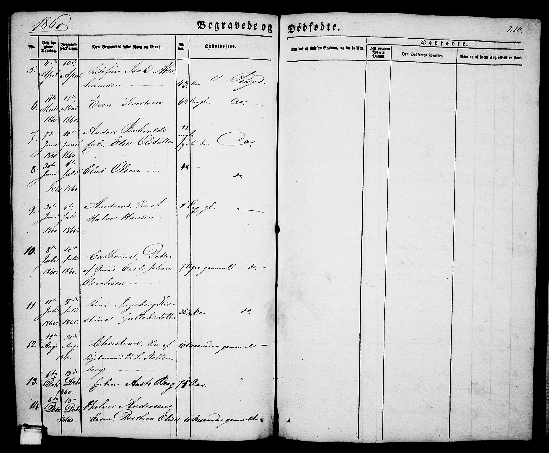 Porsgrunn kirkebøker , AV/SAKO-A-104/G/Ga/L0002: Parish register (copy) no. I 2, 1847-1877, p. 210