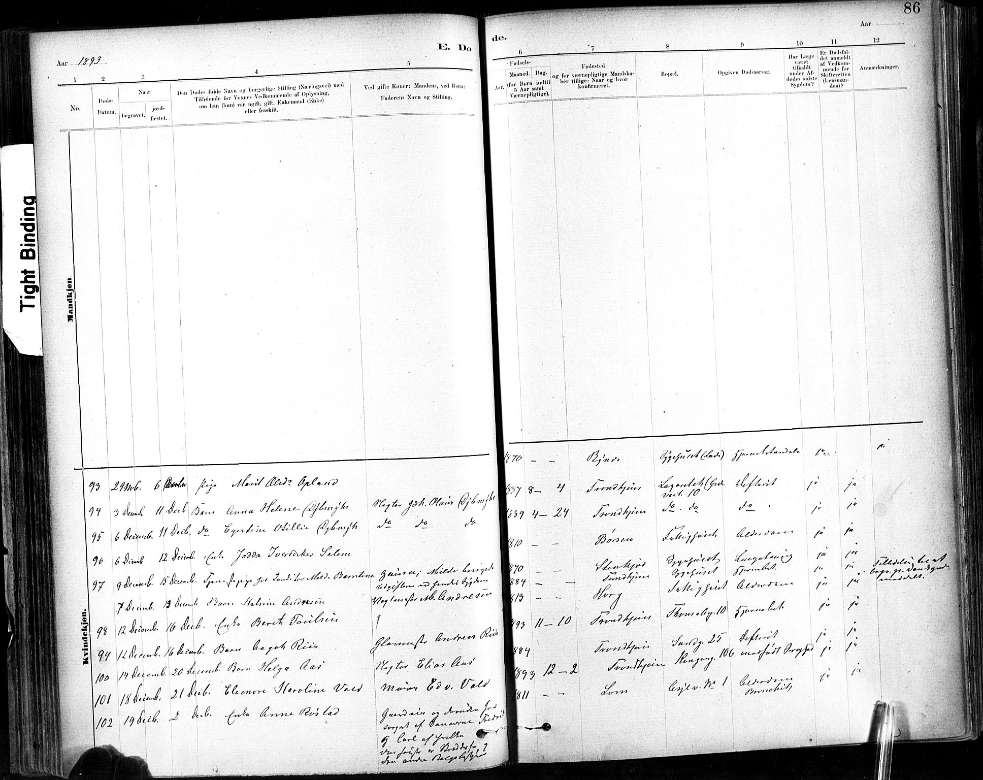Ministerialprotokoller, klokkerbøker og fødselsregistre - Sør-Trøndelag, AV/SAT-A-1456/602/L0120: Parish register (official) no. 602A18, 1880-1913, p. 86