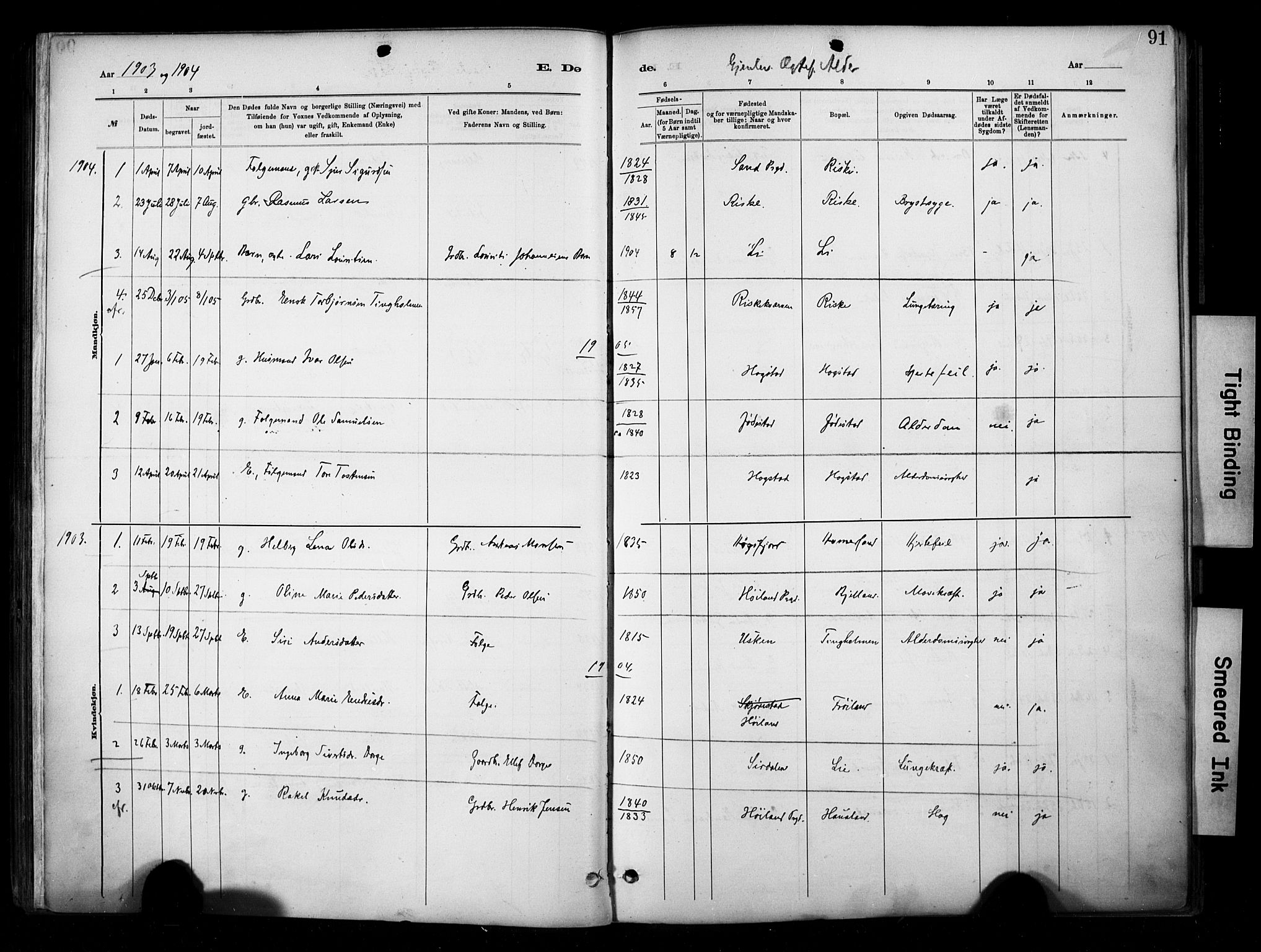 Hetland sokneprestkontor, AV/SAST-A-101826/30/30BA/L0010: Parish register (official) no. A 10, 1882-1925, p. 91