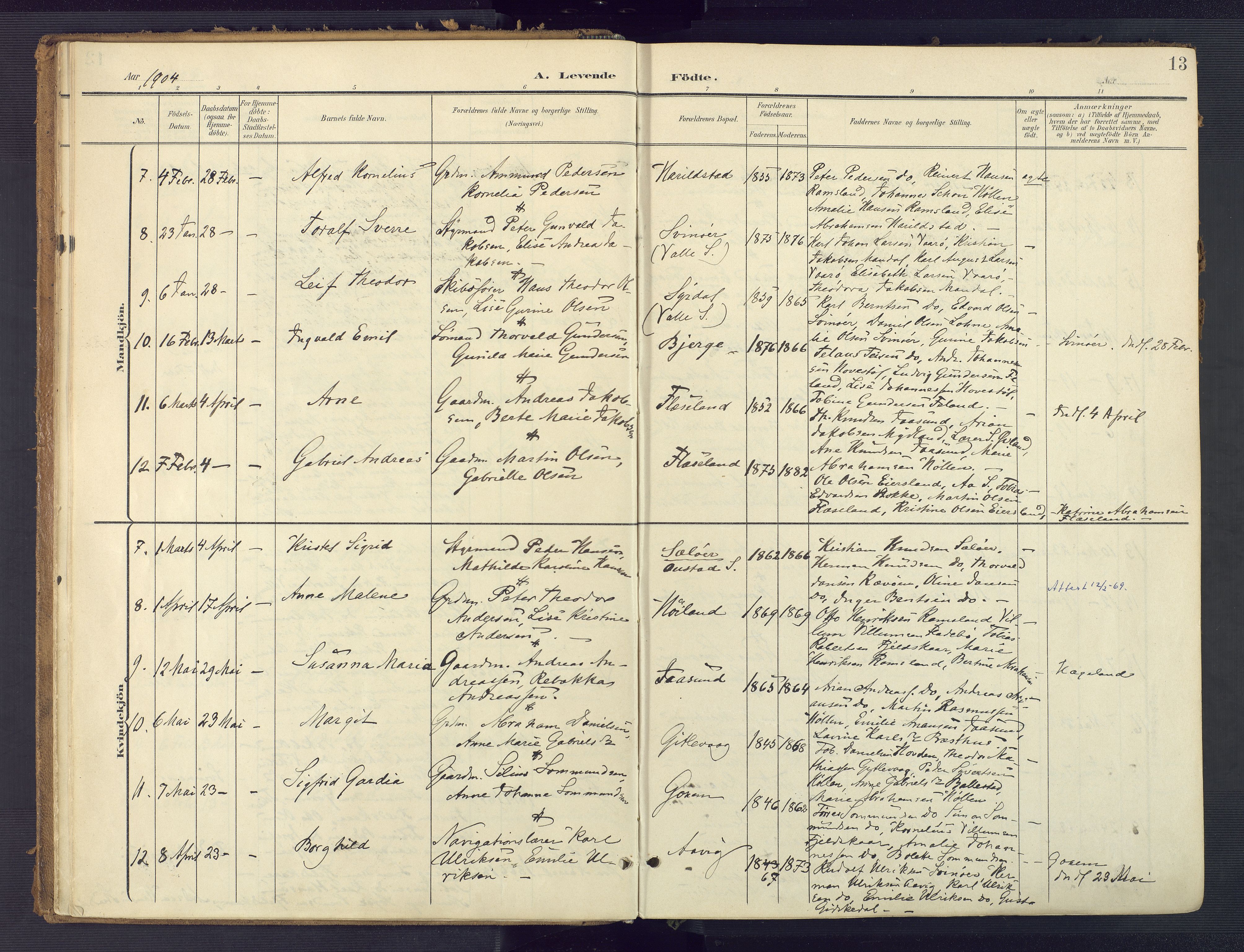 Sør-Audnedal sokneprestkontor, AV/SAK-1111-0039/F/Fa/Faa/L0005: Parish register (official) no. A 5, 1900-1923, p. 13