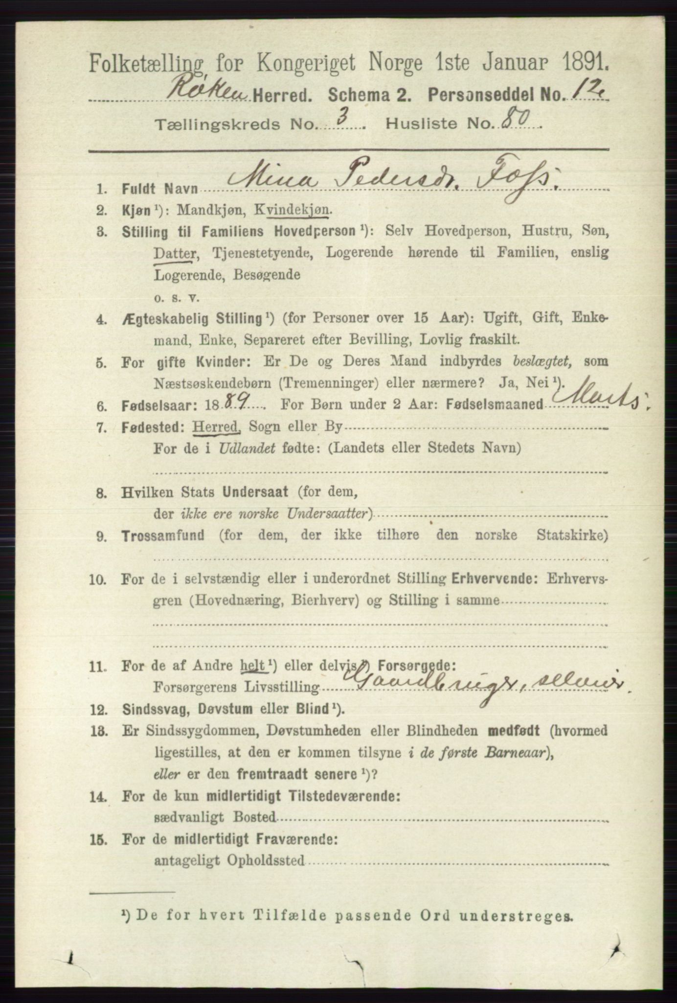 RA, 1891 census for 0627 Røyken, 1891, p. 1724