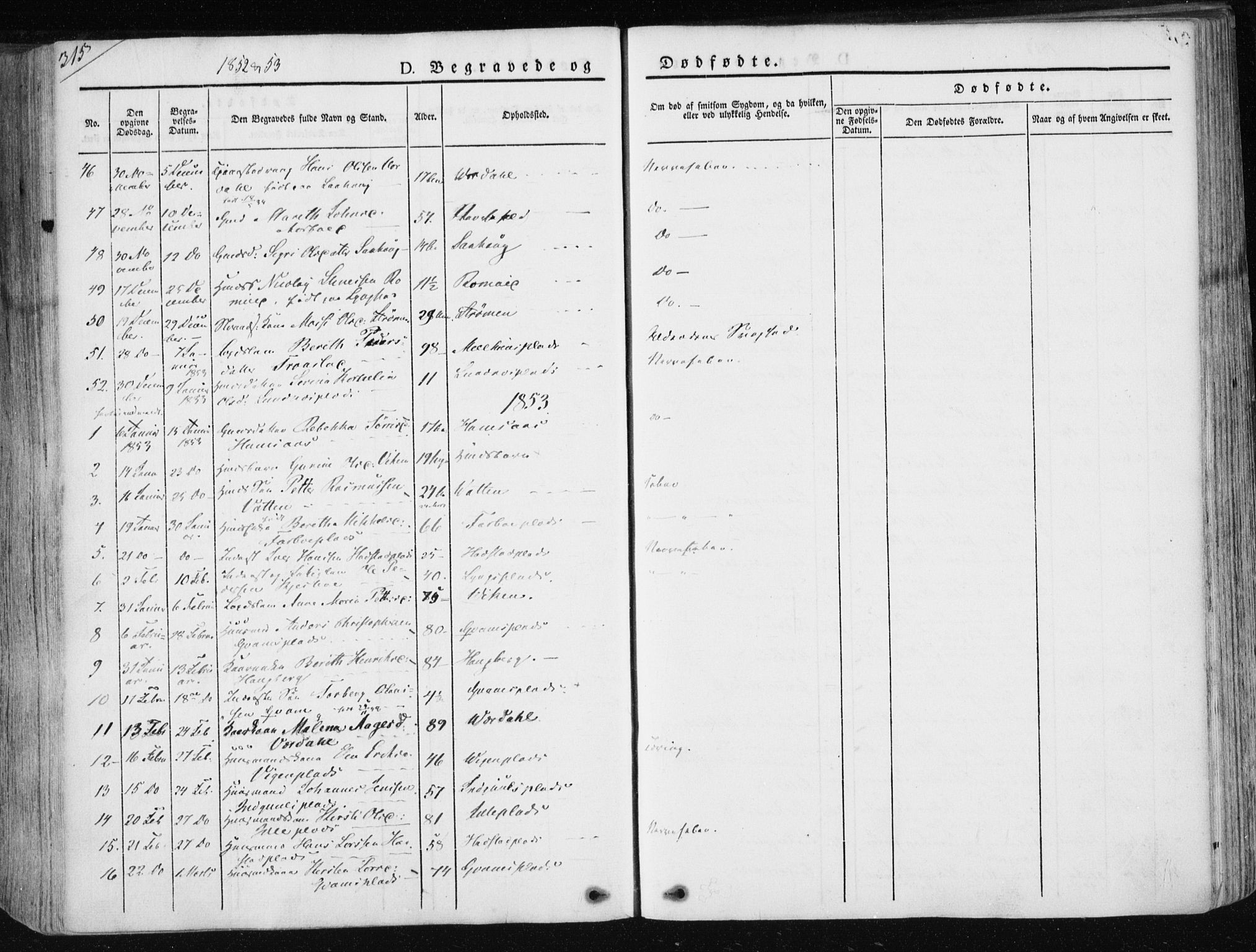 Ministerialprotokoller, klokkerbøker og fødselsregistre - Nord-Trøndelag, AV/SAT-A-1458/730/L0280: Parish register (official) no. 730A07 /1, 1840-1854, p. 315