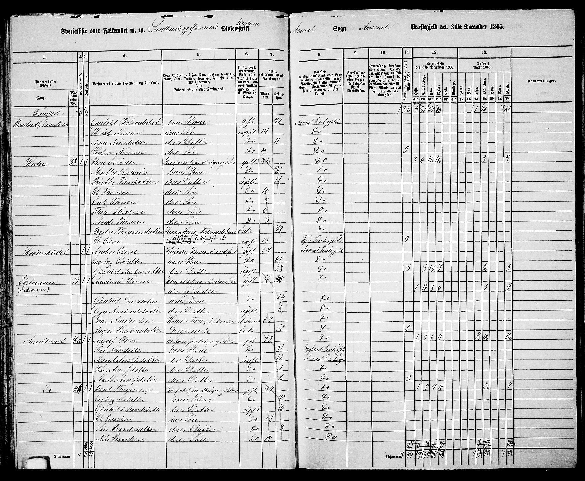 RA, 1865 census for Åseral, 1865, p. 46