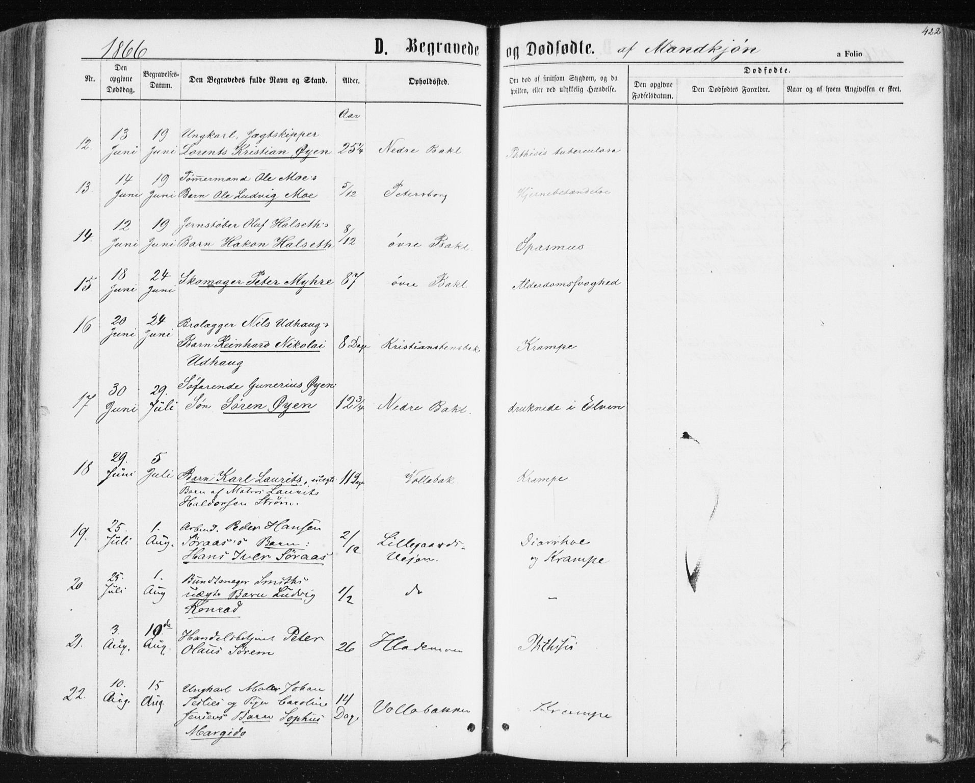 Ministerialprotokoller, klokkerbøker og fødselsregistre - Sør-Trøndelag, SAT/A-1456/604/L0186: Parish register (official) no. 604A07, 1866-1877, p. 422