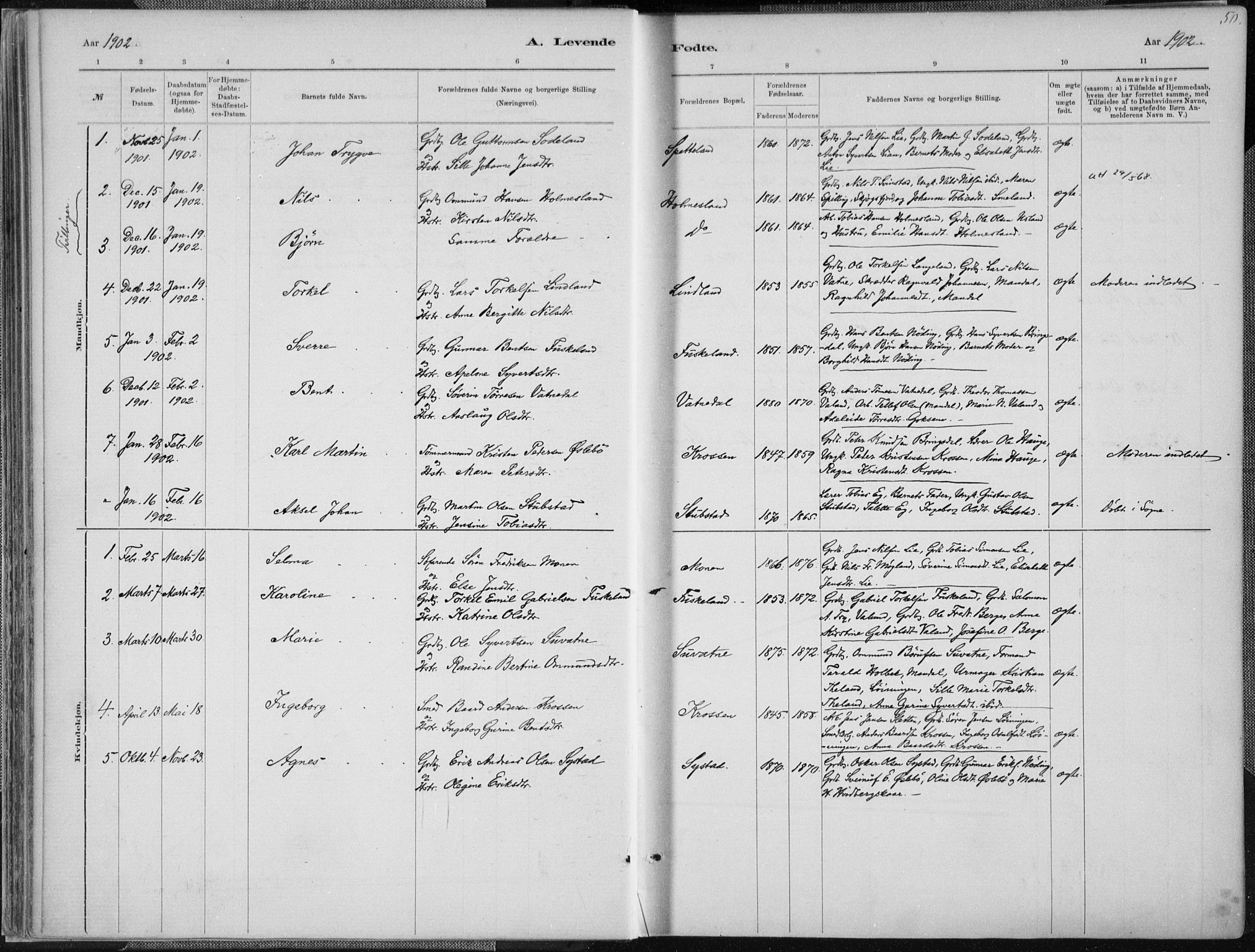 Holum sokneprestkontor, SAK/1111-0022/F/Fa/Faa/L0007: Parish register (official) no. A 7, 1884-1907, p. 50