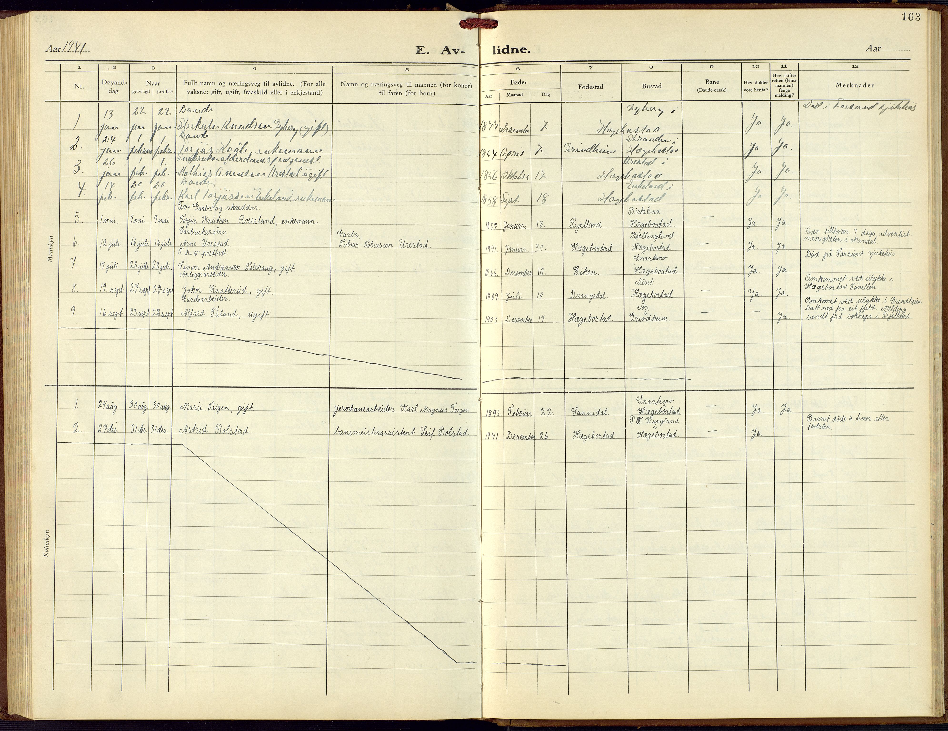 Hægebostad sokneprestkontor, AV/SAK-1111-0024/F/Fb/Fba/L0006: Parish register (copy) no. B 6, 1931-1970, p. 163