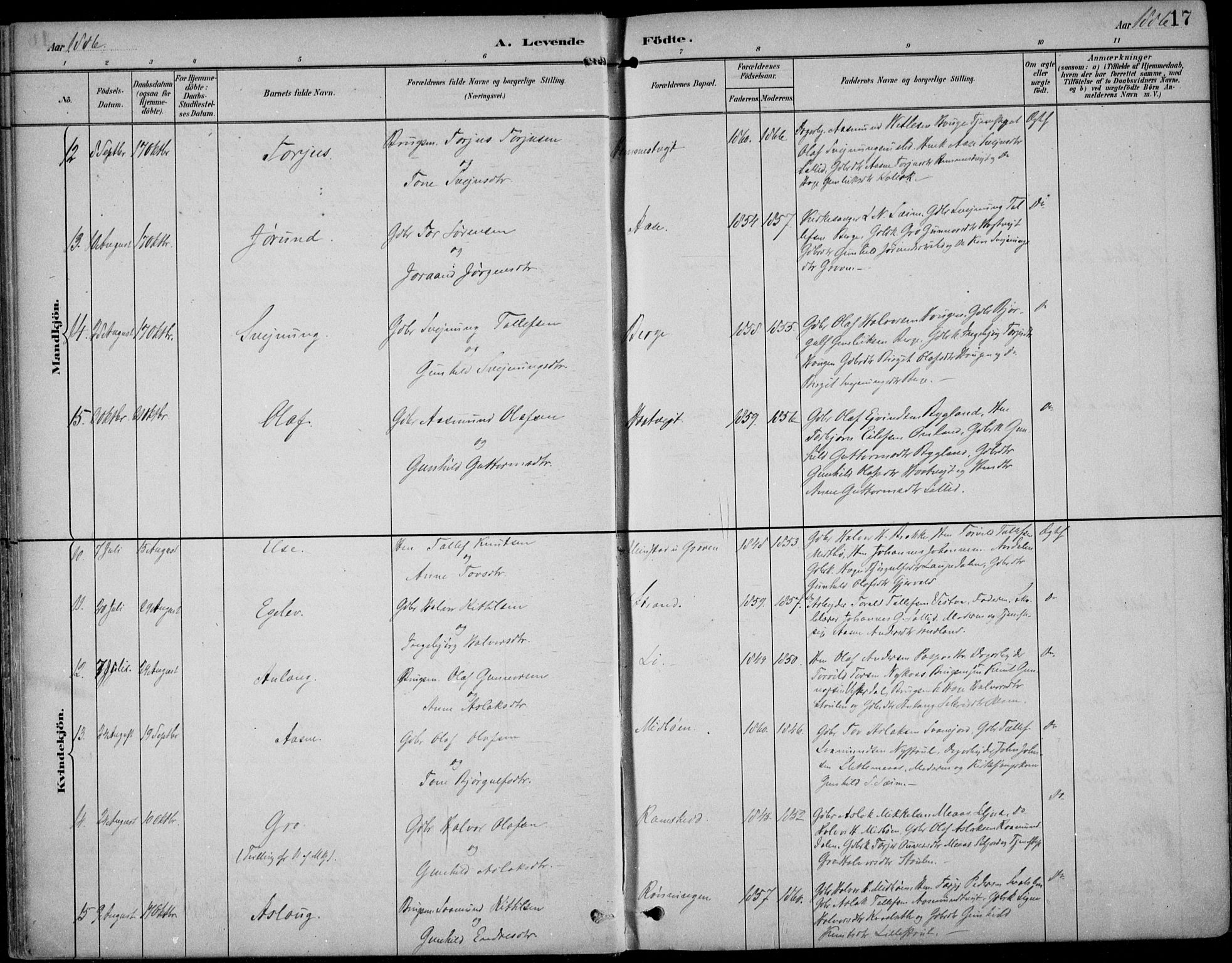 Kviteseid kirkebøker, AV/SAKO-A-276/F/Fb/L0002: Parish register (official) no. II 2, 1882-1916, p. 17