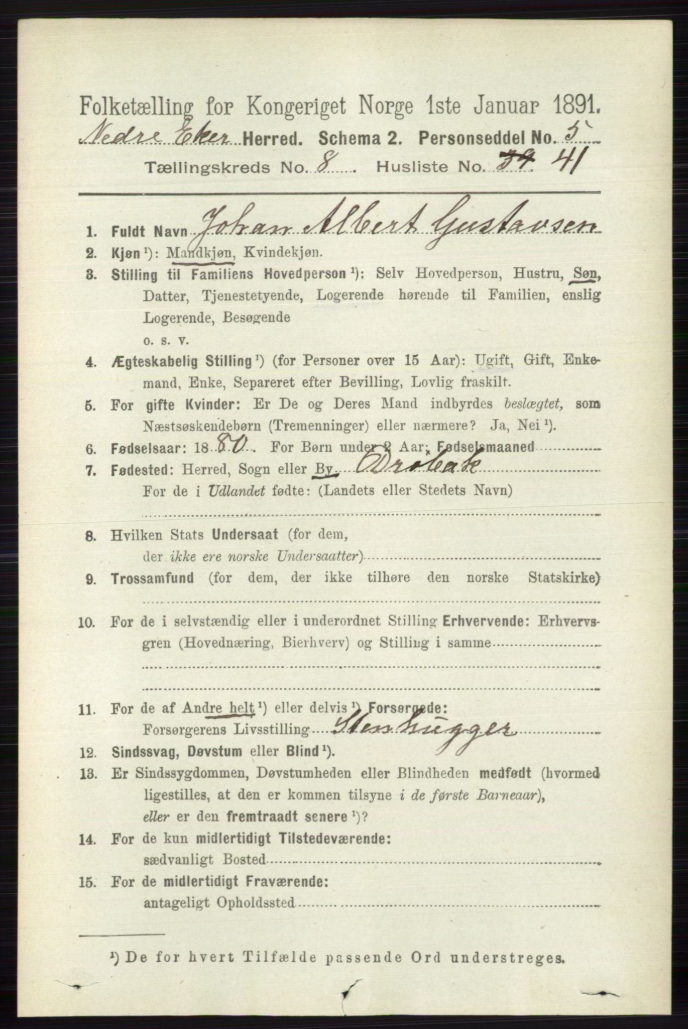 RA, 1891 census for 0625 Nedre Eiker, 1891, p. 4210