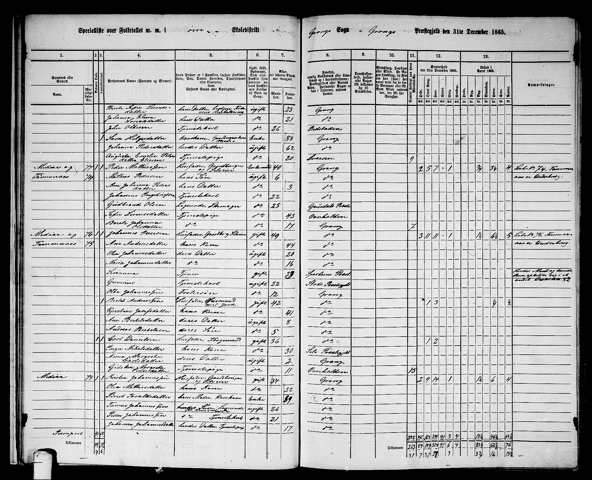 RA, 1865 census for Grong, 1865, p. 21