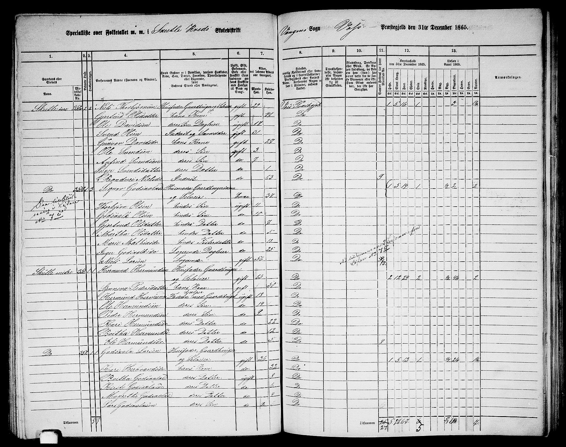 RA, 1865 census for Voss, 1865, p. 163