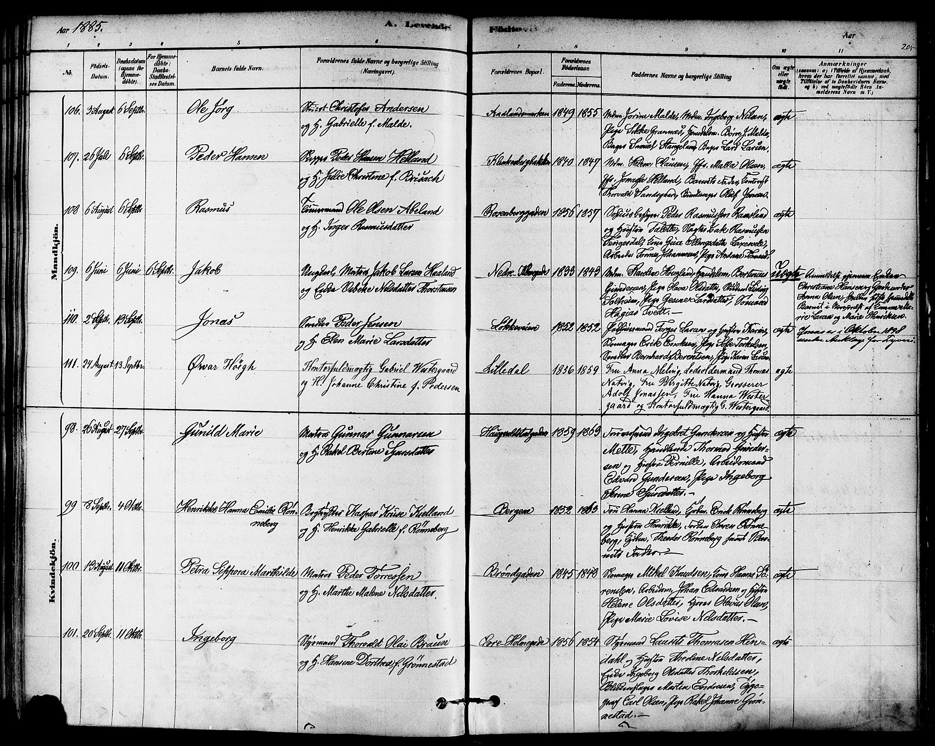 Domkirken sokneprestkontor, SAST/A-101812/001/30/30BA/L0026: Parish register (official) no. A 25, 1878-1889, p. 205