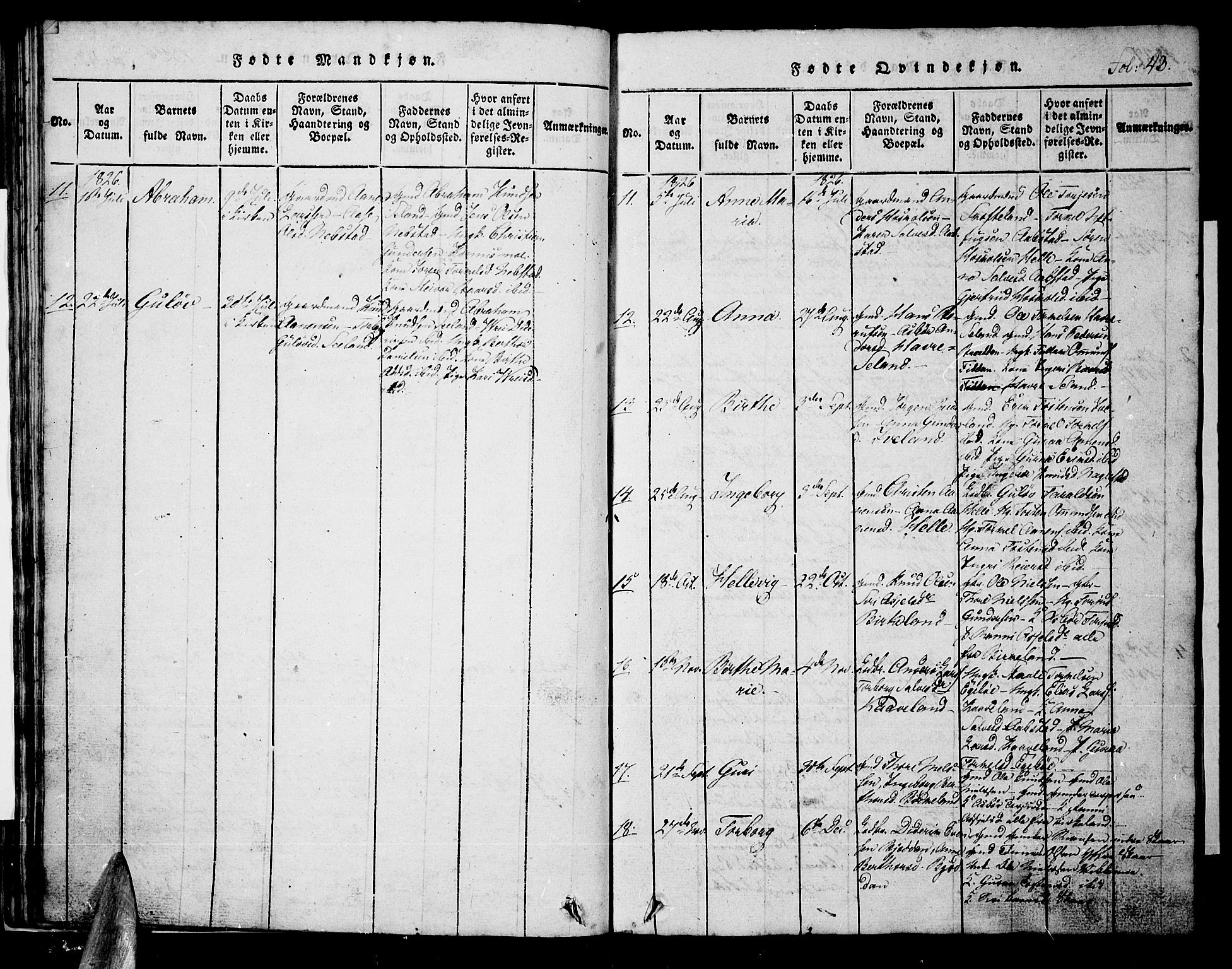 Nord-Audnedal sokneprestkontor, AV/SAK-1111-0032/F/Fb/Fba/L0001: Parish register (copy) no. B 1, 1815-1856, p. 43