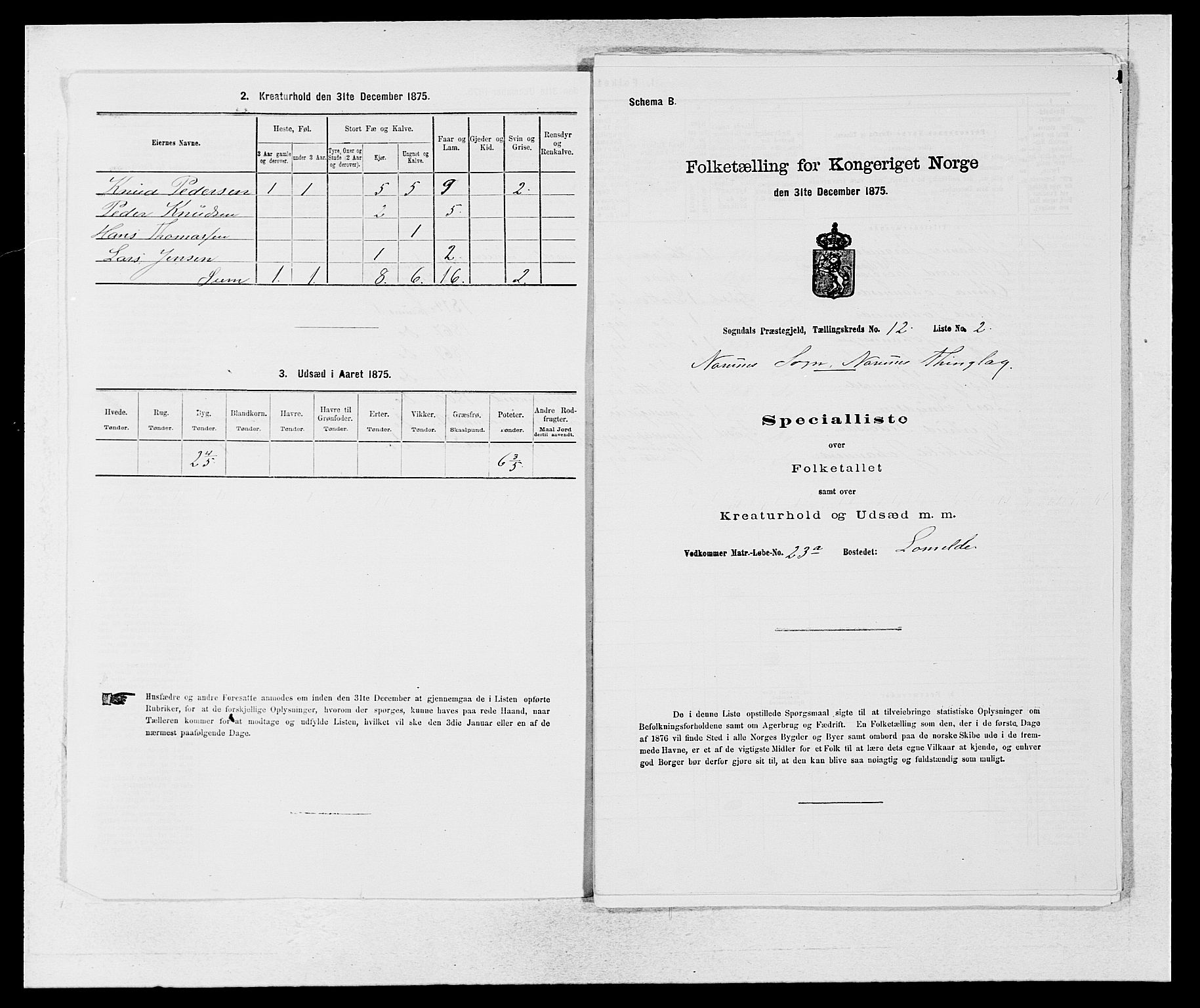 SAB, 1875 census for 1420P Sogndal, 1875, p. 1068