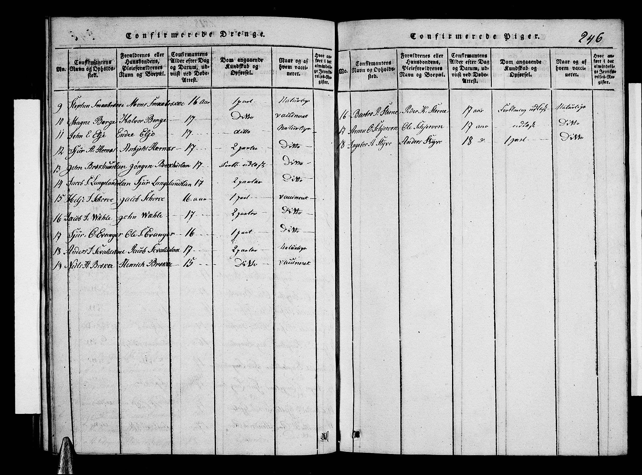 Voss sokneprestembete, AV/SAB-A-79001/H/Hab: Parish register (copy) no. A 1, 1816-1818, p. 246