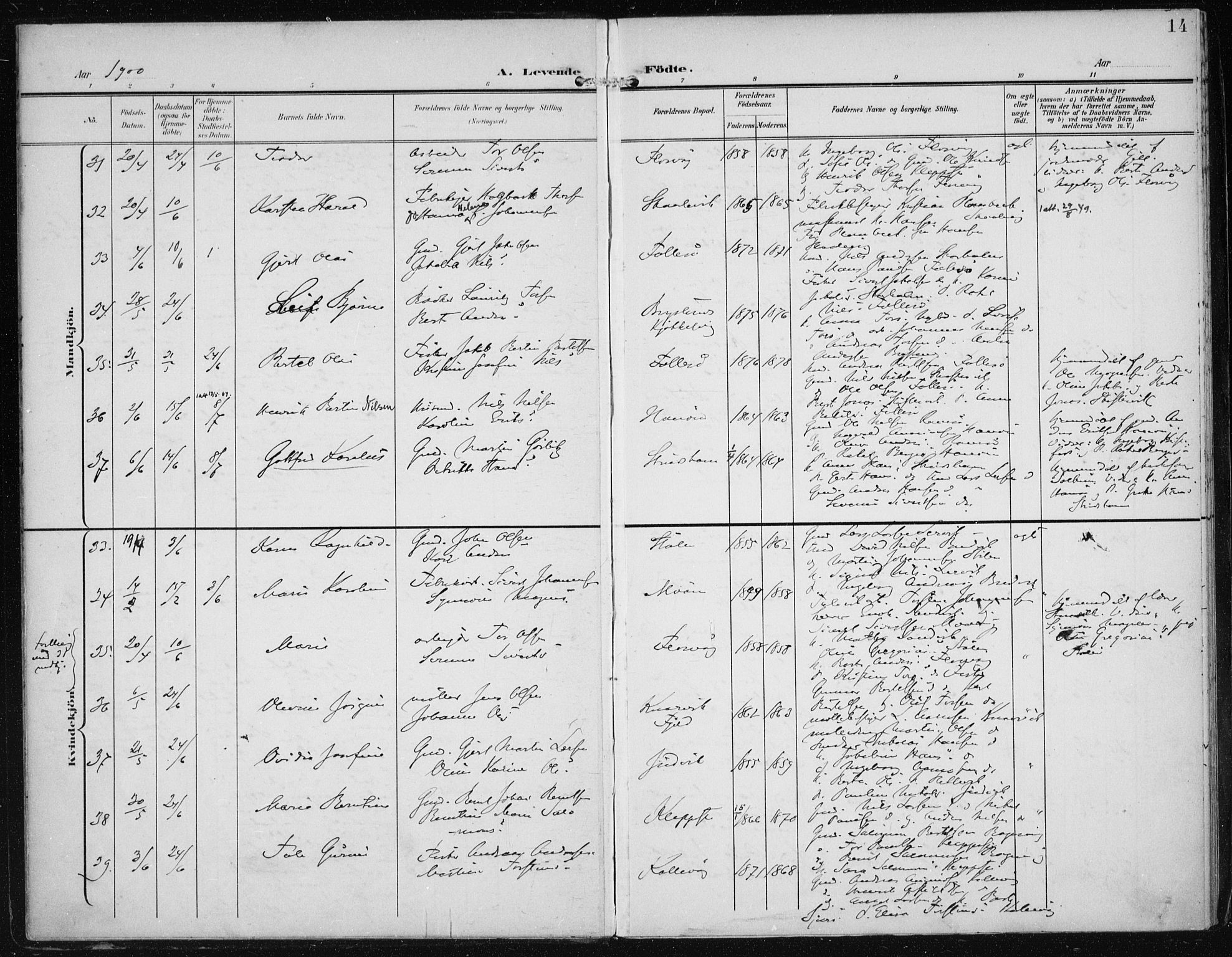 Askøy Sokneprestembete, AV/SAB-A-74101/H/Ha/Haa/Haac/L0001: Parish register (official) no. C 1, 1899-1905, p. 14