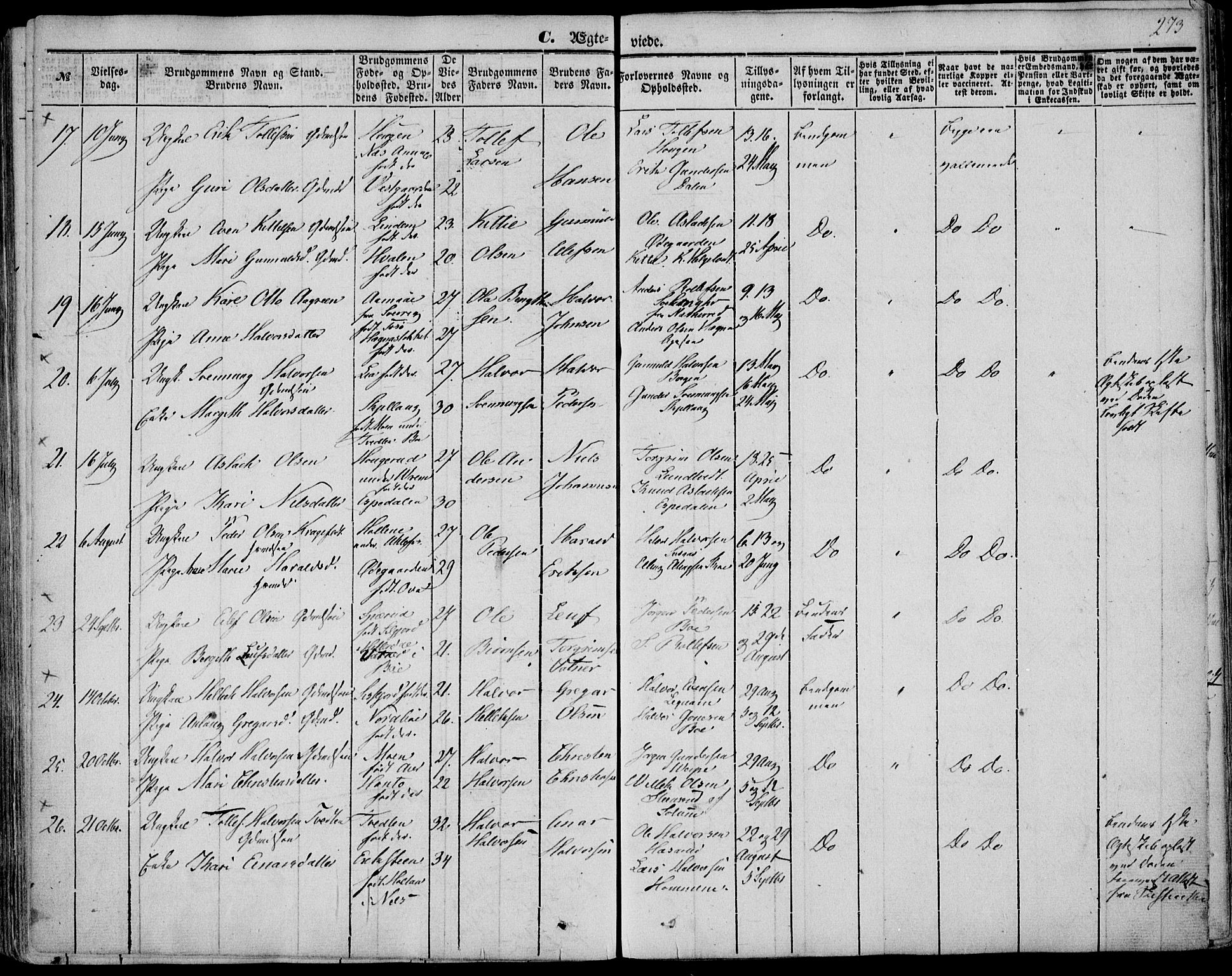 Bø kirkebøker, AV/SAKO-A-257/F/Fa/L0008: Parish register (official) no. 8, 1849-1861, p. 273