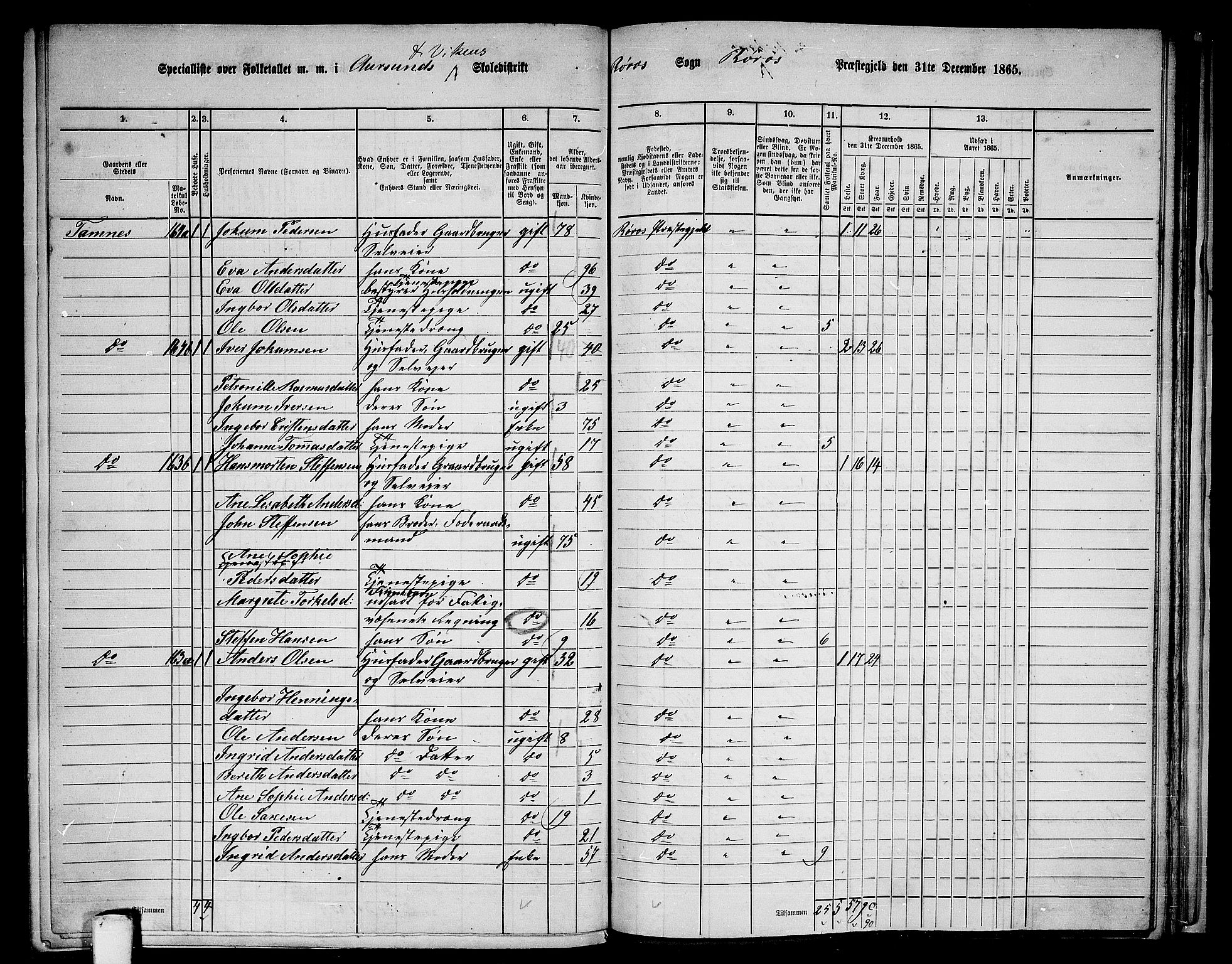 RA, 1865 census for Røros, 1865, p. 119