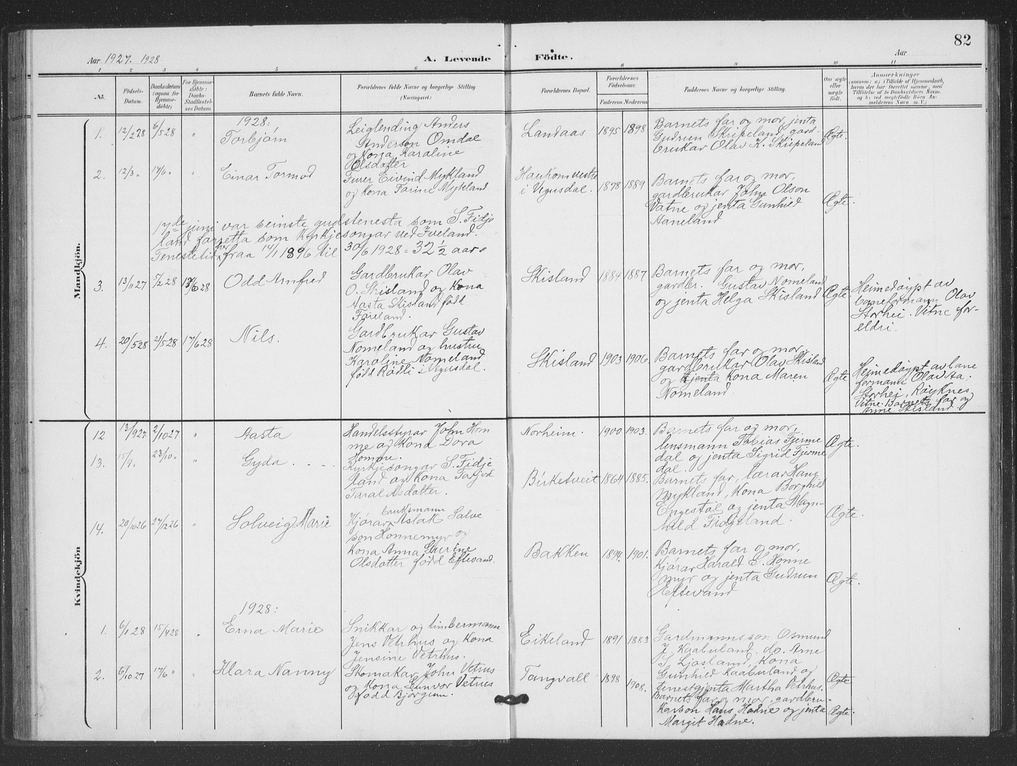 Evje sokneprestkontor, AV/SAK-1111-0008/F/Fb/Fbc/L0005: Parish register (copy) no. B 5, 1901-1935, p. 82