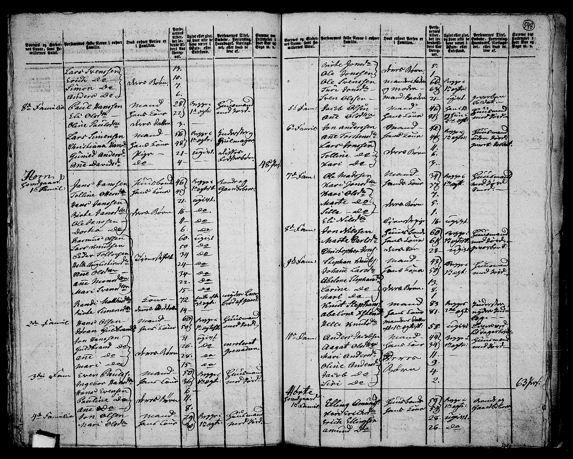 RA, 1801 census for 0626P Lier, 1801, p. 547b-548a