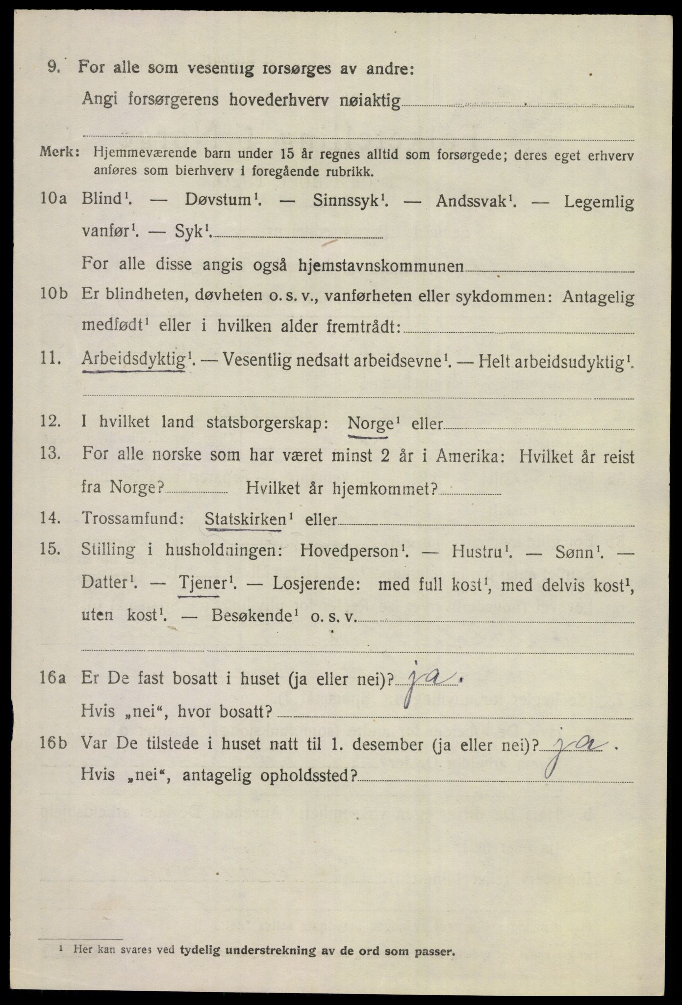 SAKO, 1920 census for Hemsedal, 1920, p. 547