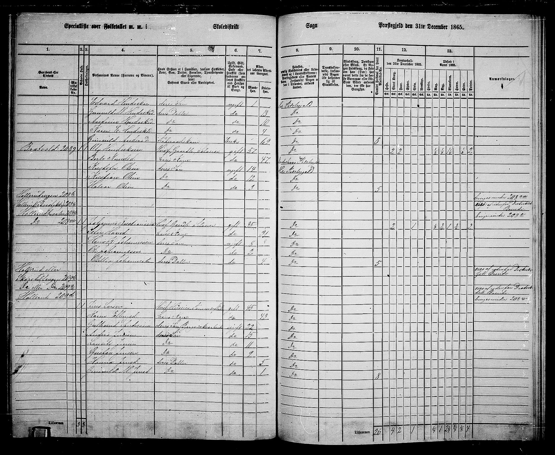 RA, 1865 census for Hole, 1865, p. 143