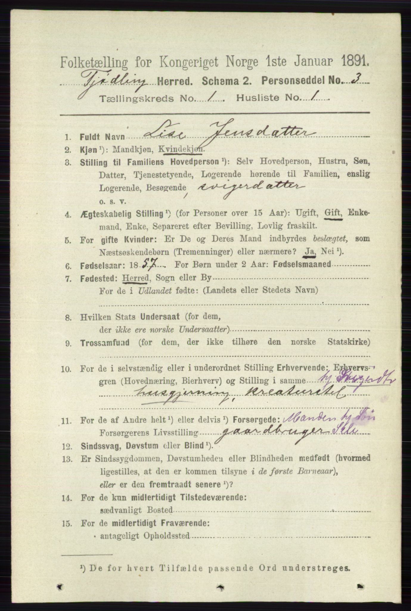 RA, 1891 census for 0725 Tjølling, 1891, p. 89