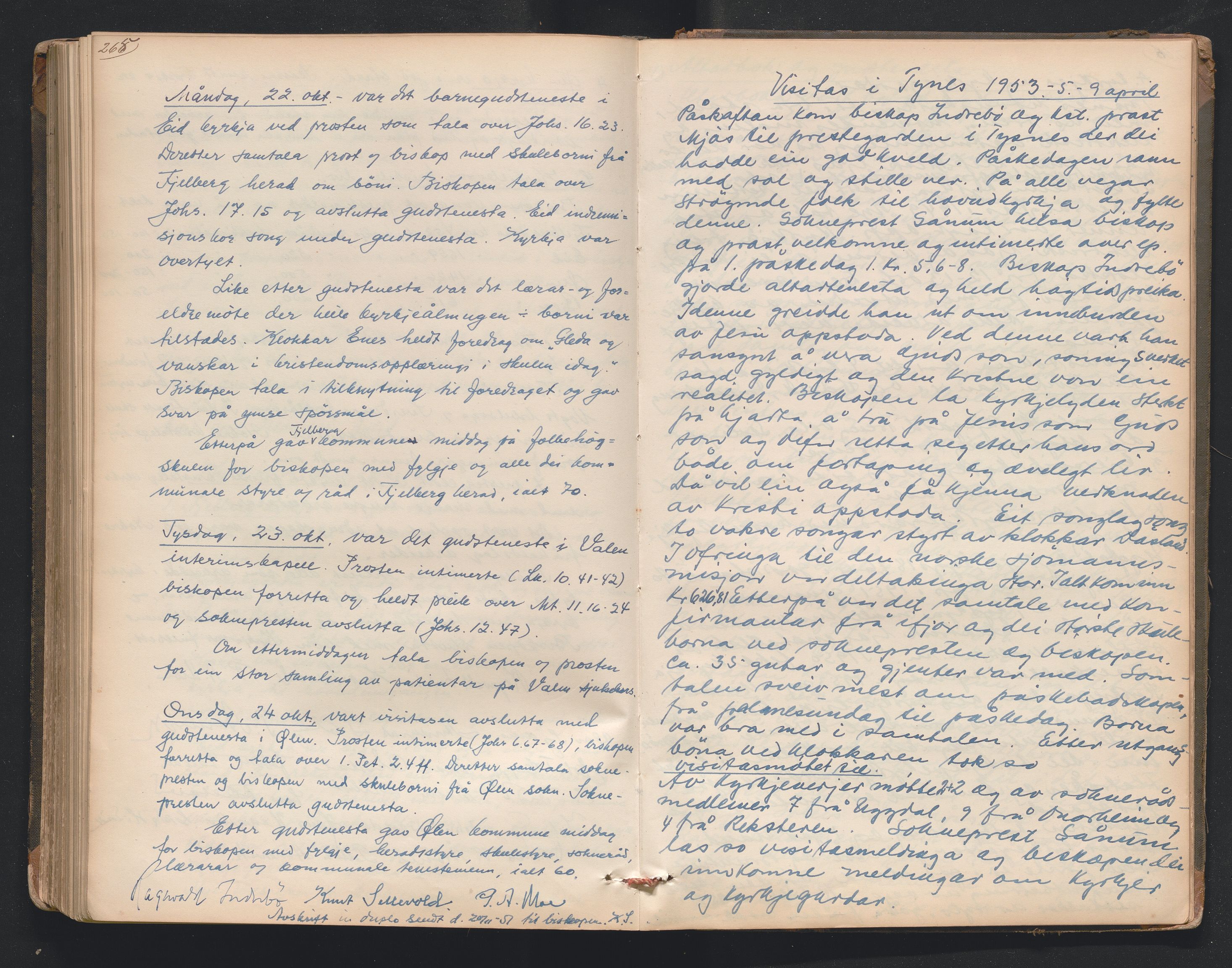 Nordre Sunnhordland prosti, AV/SAB-A-99912/F/L0001: Visitasprotokoll , 1860-1959, p. 265