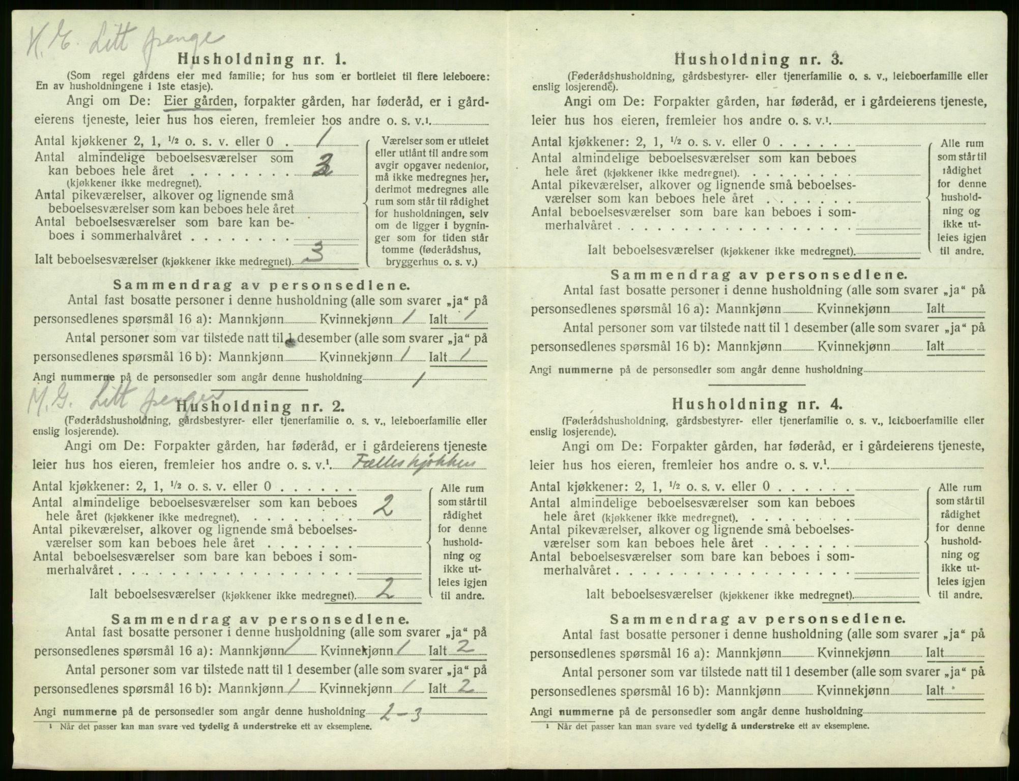 SAKO, 1920 census for Borre, 1920, p. 1355