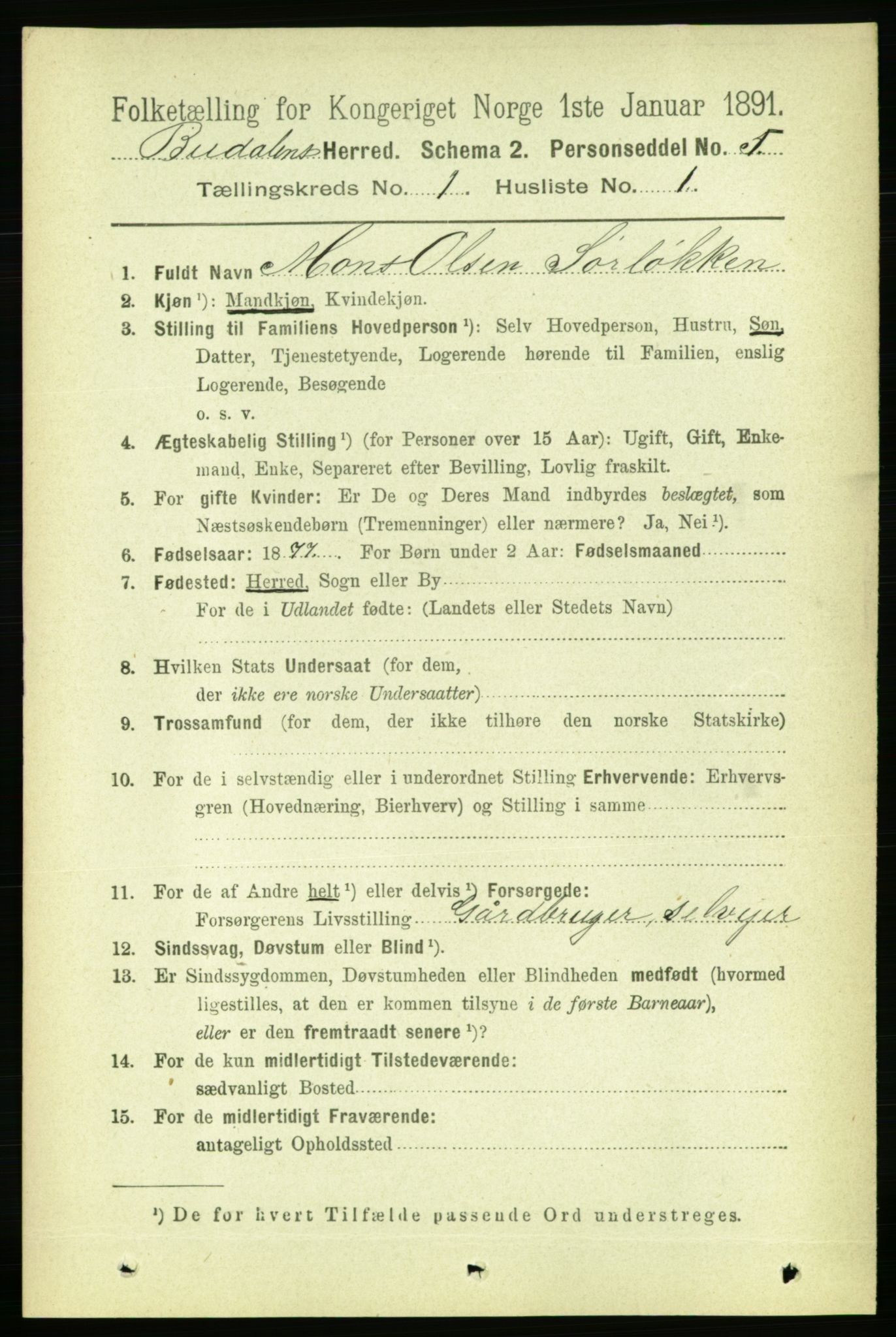 RA, 1891 census for 1647 Budal, 1891, p. 65