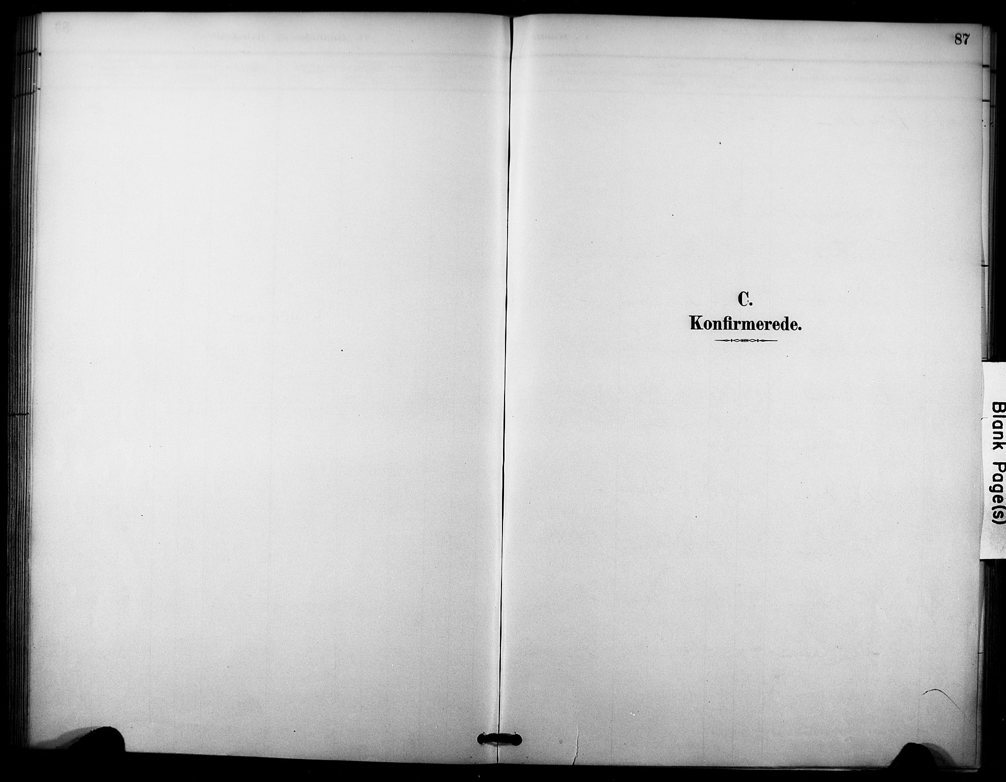 Nore kirkebøker, SAKO/A-238/F/Fc/L0004: Parish register (official) no. III 4, 1885-1898, p. 87