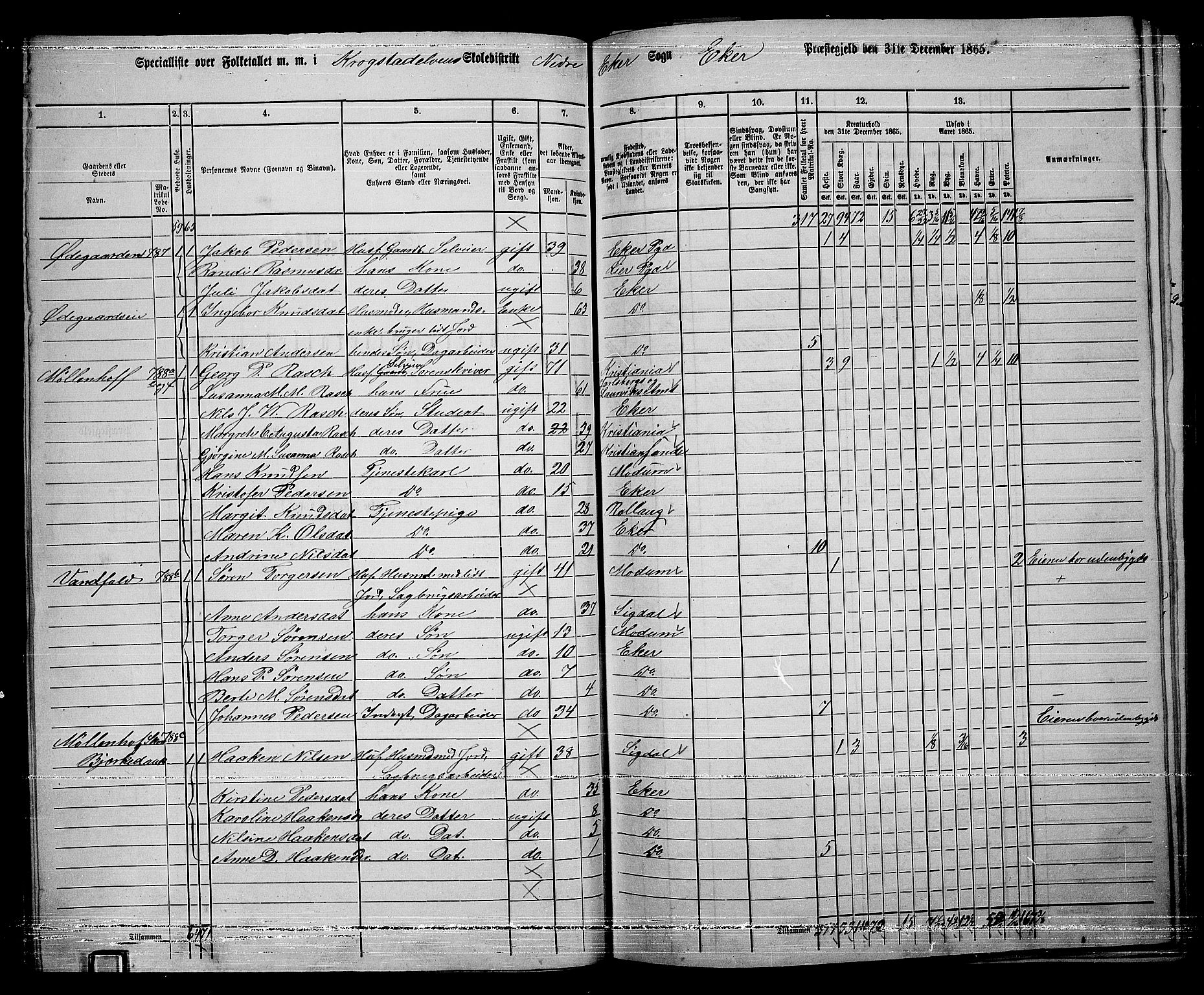 RA, 1865 census for Eiker, 1865, p. 335