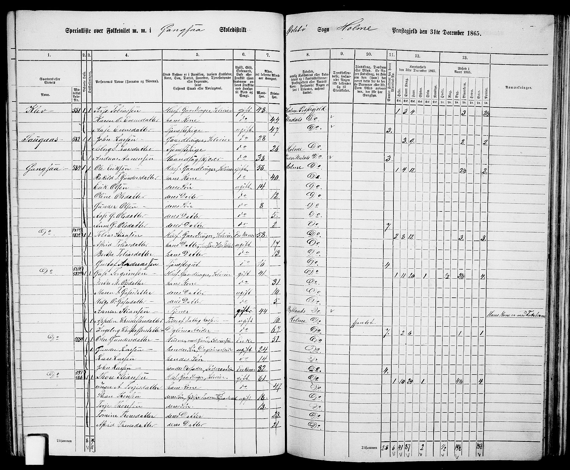 RA, 1865 census for Holum, 1865, p. 110