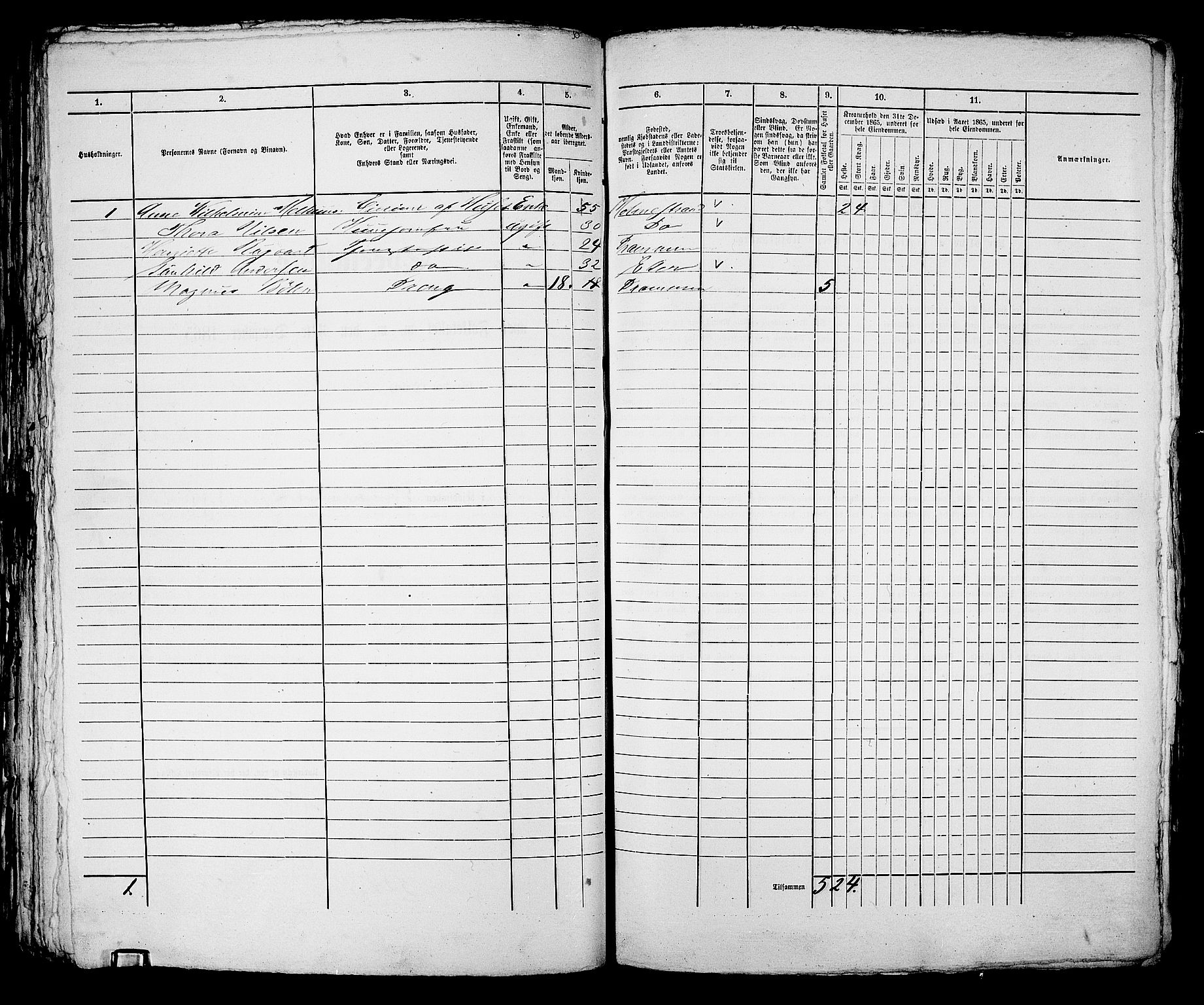 RA, 1865 census for Bragernes in Drammen, 1865, p. 803