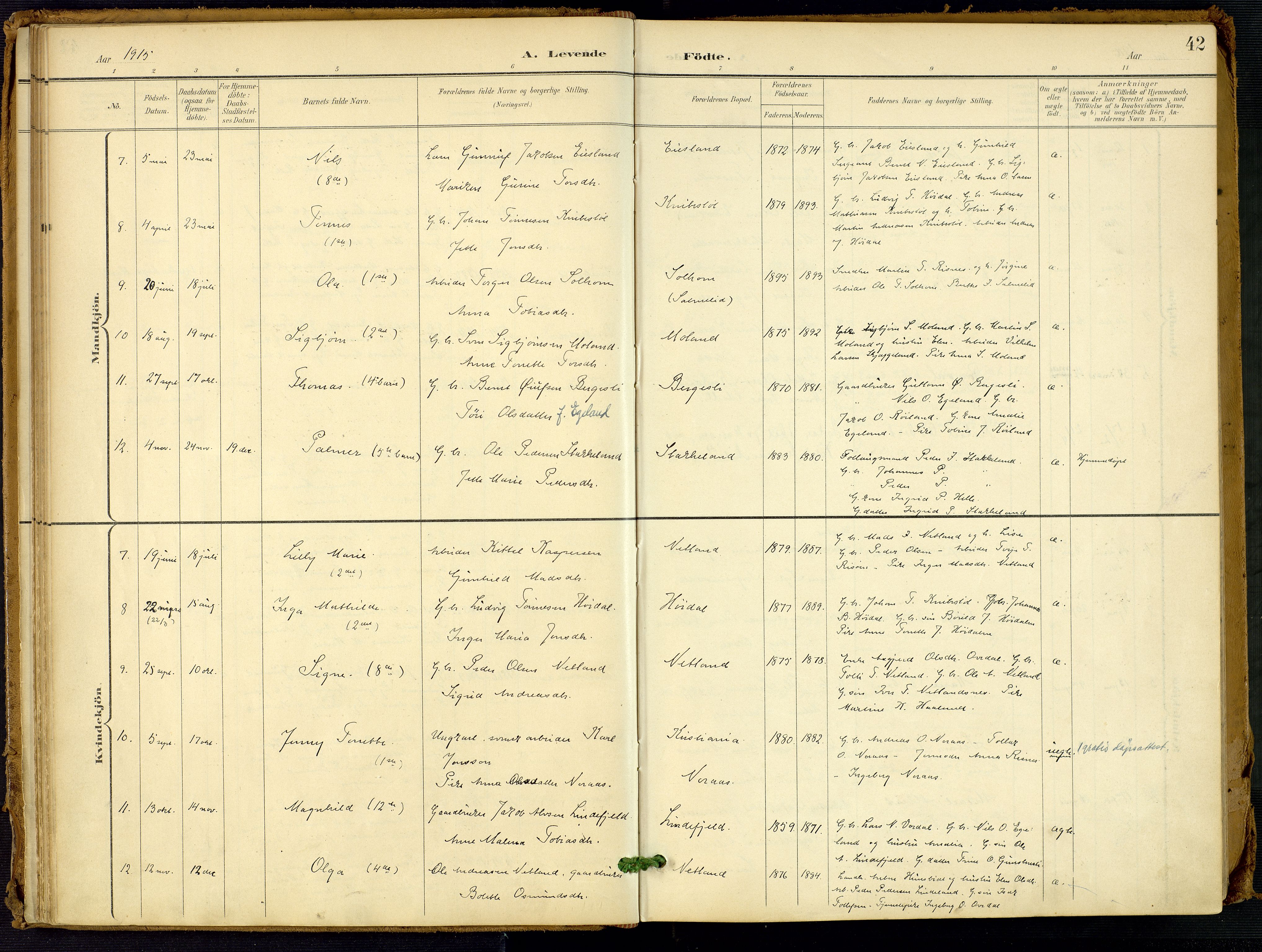 Fjotland sokneprestkontor, SAK/1111-0010/F/Fa/L0003: Parish register (official) no. A 3, 1899-1917, p. 42