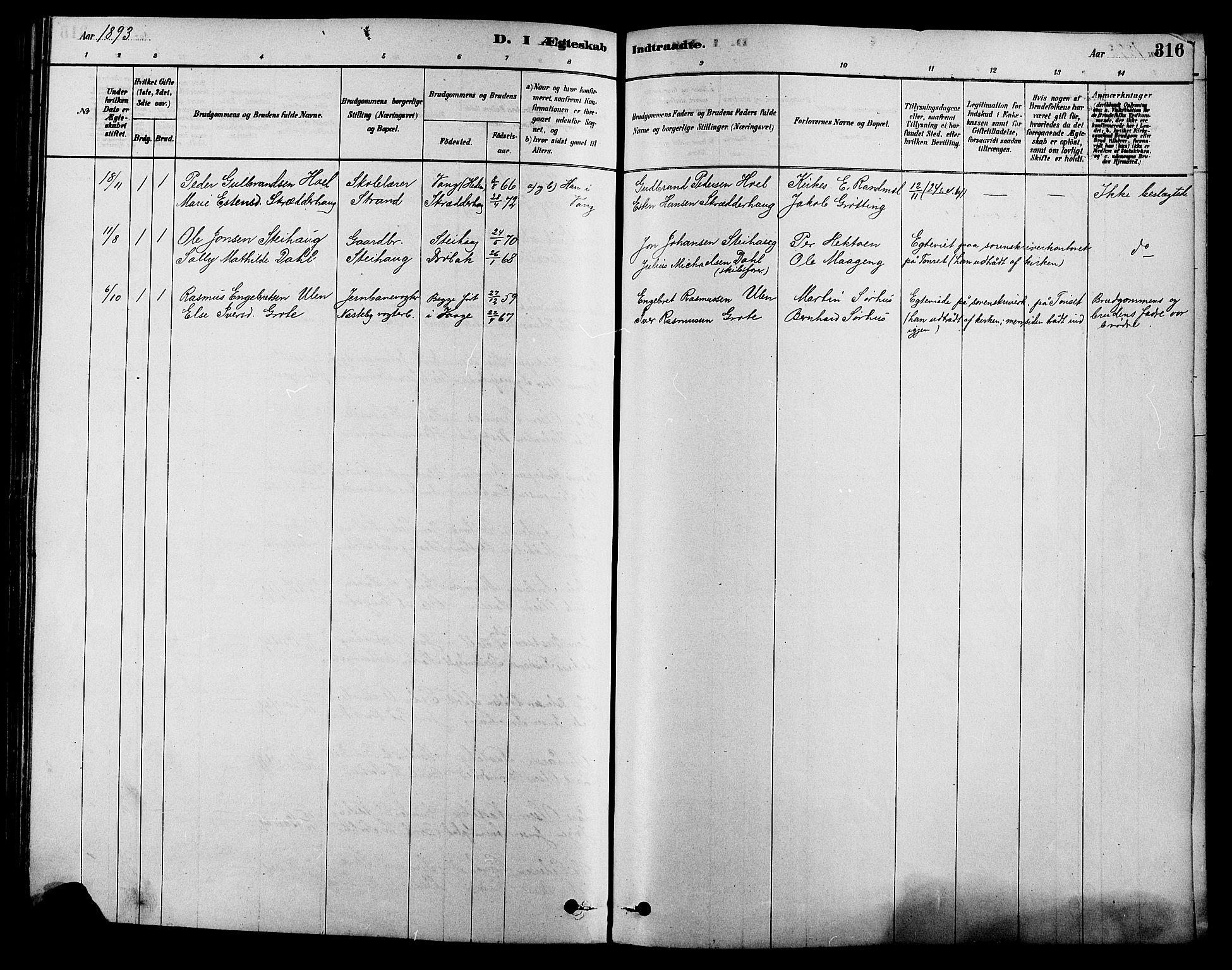 Alvdal prestekontor, SAH/PREST-060/H/Ha/Hab/L0003: Parish register (copy) no. 3, 1878-1907, p. 316