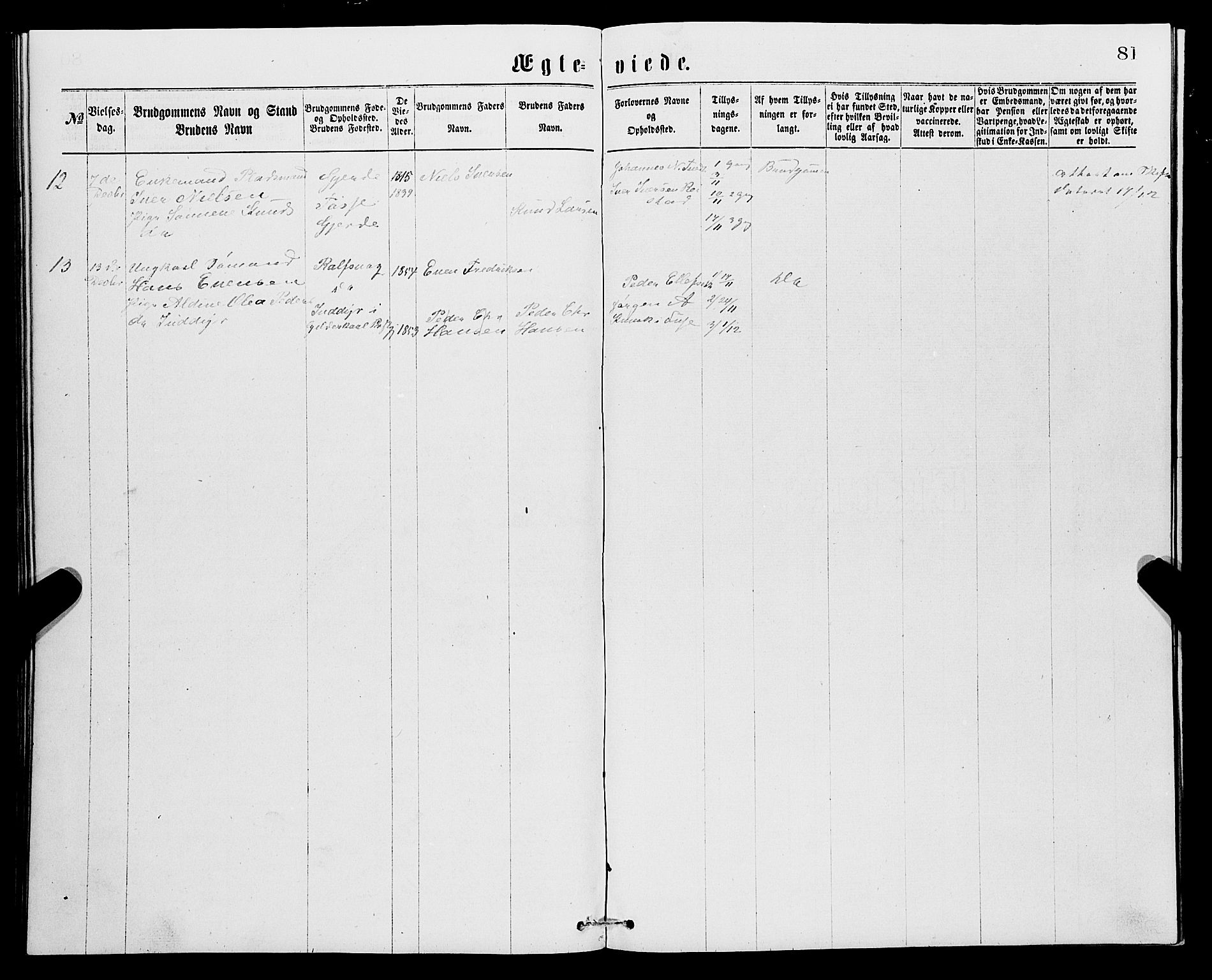 Samnanger Sokneprestembete, AV/SAB-A-77501/H/Hab: Parish register (copy) no. A 1, 1869-1878, p. 81