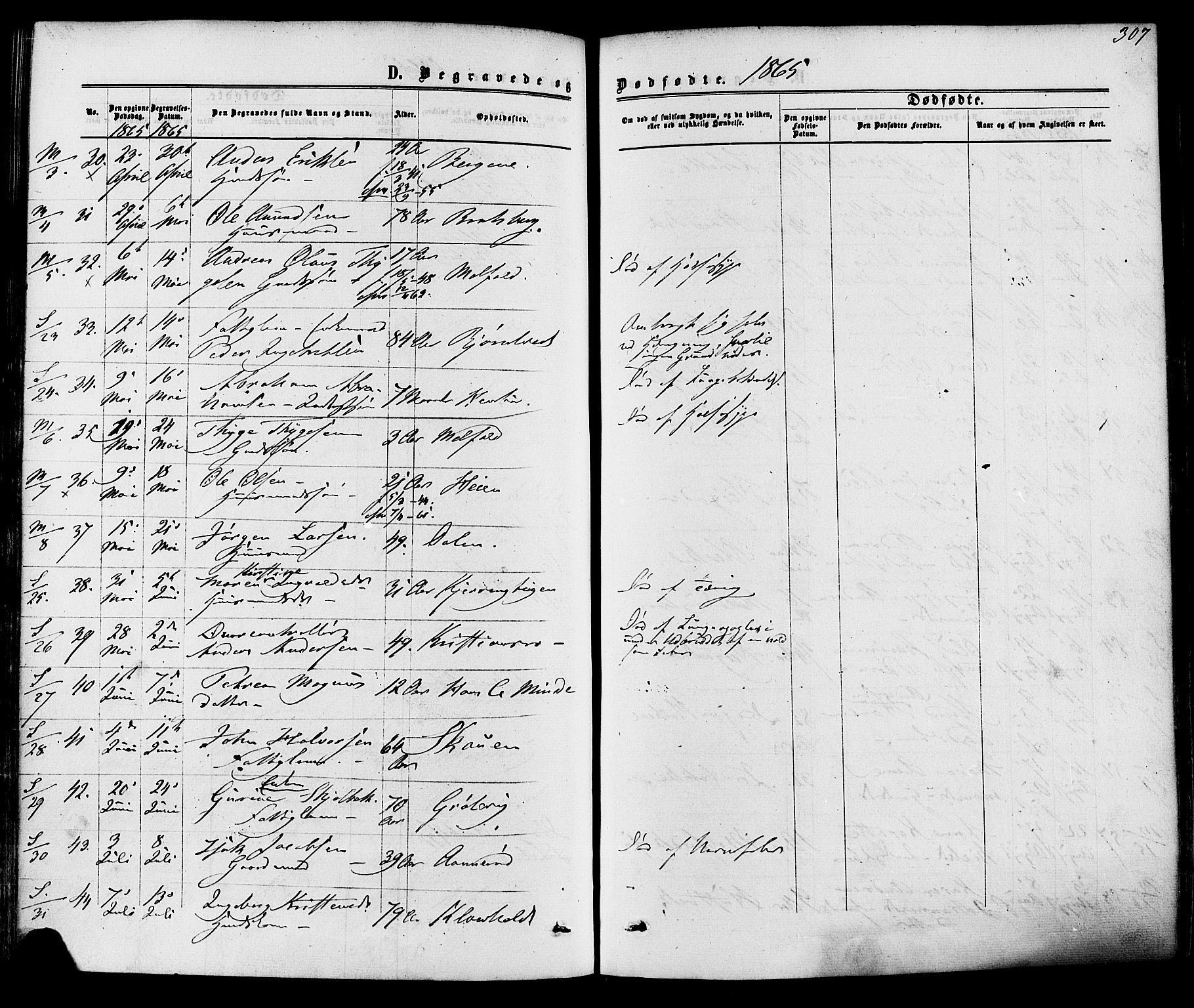 Solum kirkebøker, AV/SAKO-A-306/F/Fa/L0008: Parish register (official) no. I 8, 1865-1876, p. 307