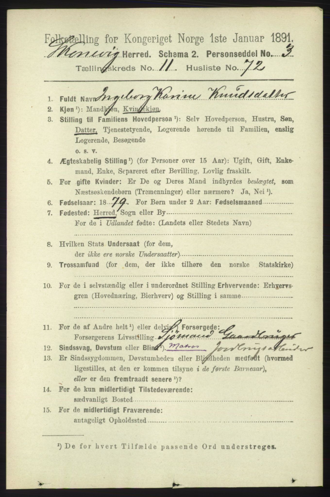 RA, 1891 census for 1212 Skånevik, 1891, p. 3705