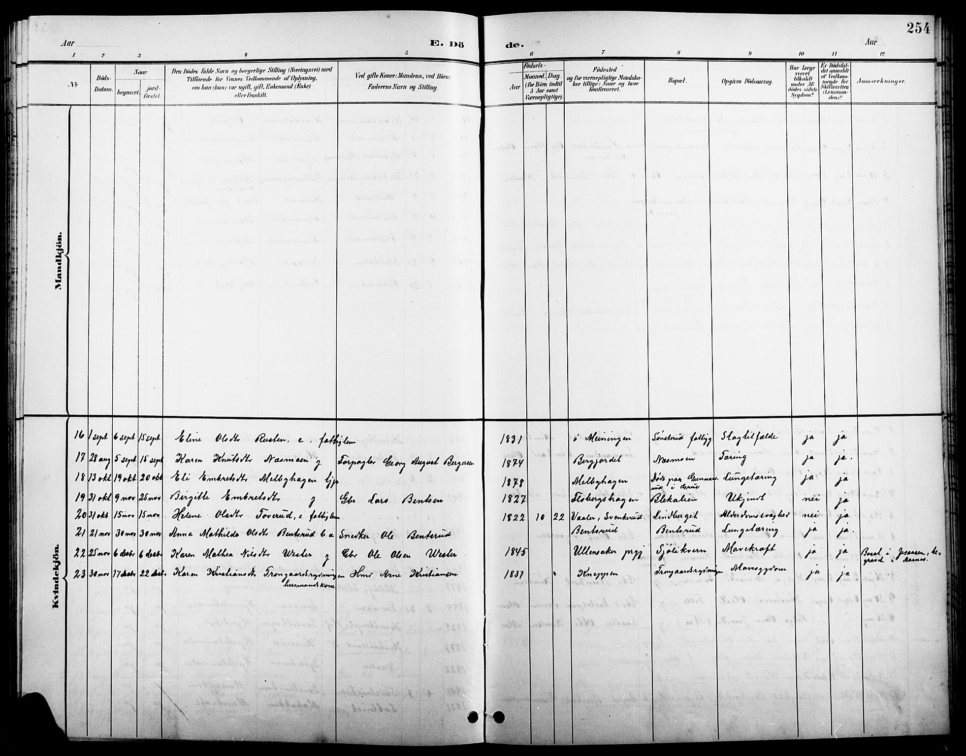 Åsnes prestekontor, SAH/PREST-042/H/Ha/Hab/L0004: Parish register (copy) no. 4, 1895-1909, p. 254