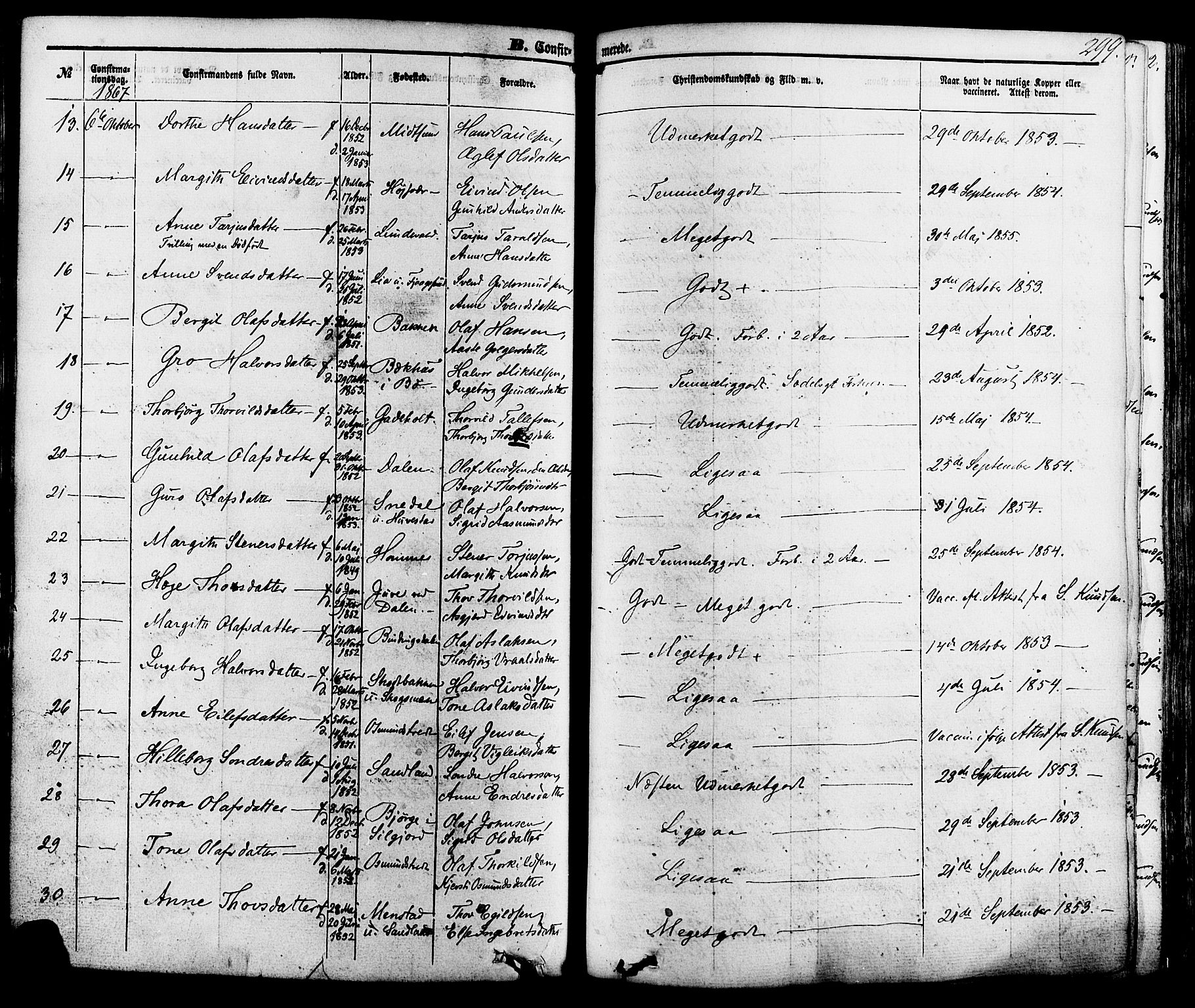 Kviteseid kirkebøker, SAKO/A-276/F/Fa/L0007: Parish register (official) no. I 7, 1859-1881, p. 299