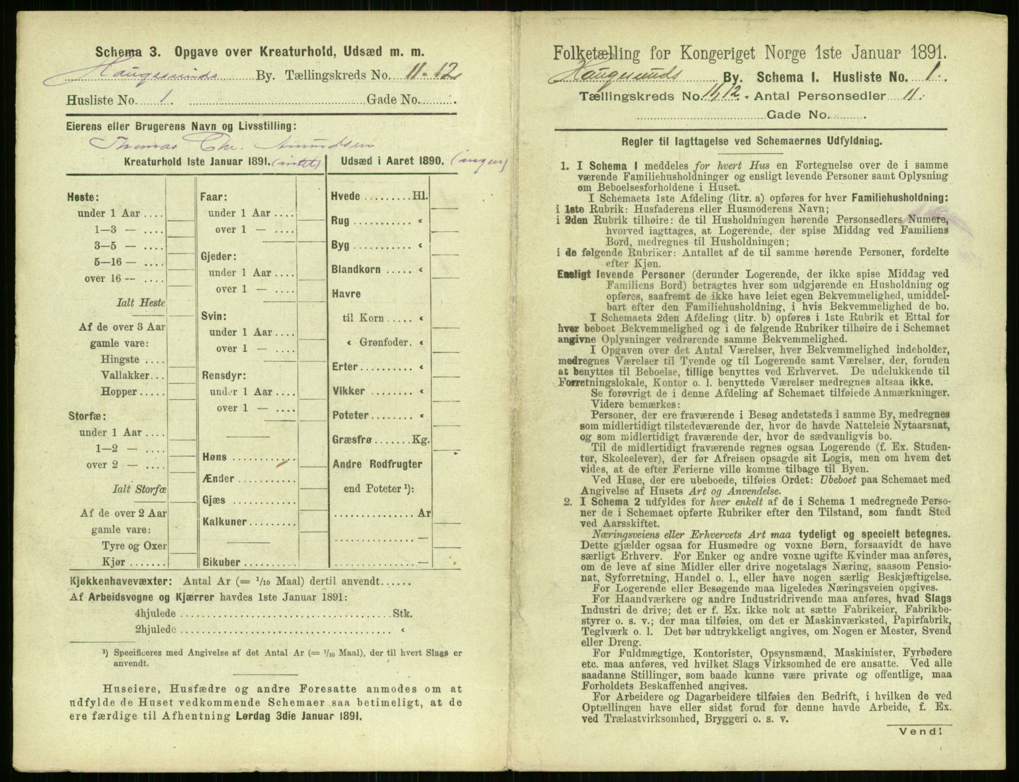 RA, 1891 census for 1106 Haugesund, 1891, p. 766