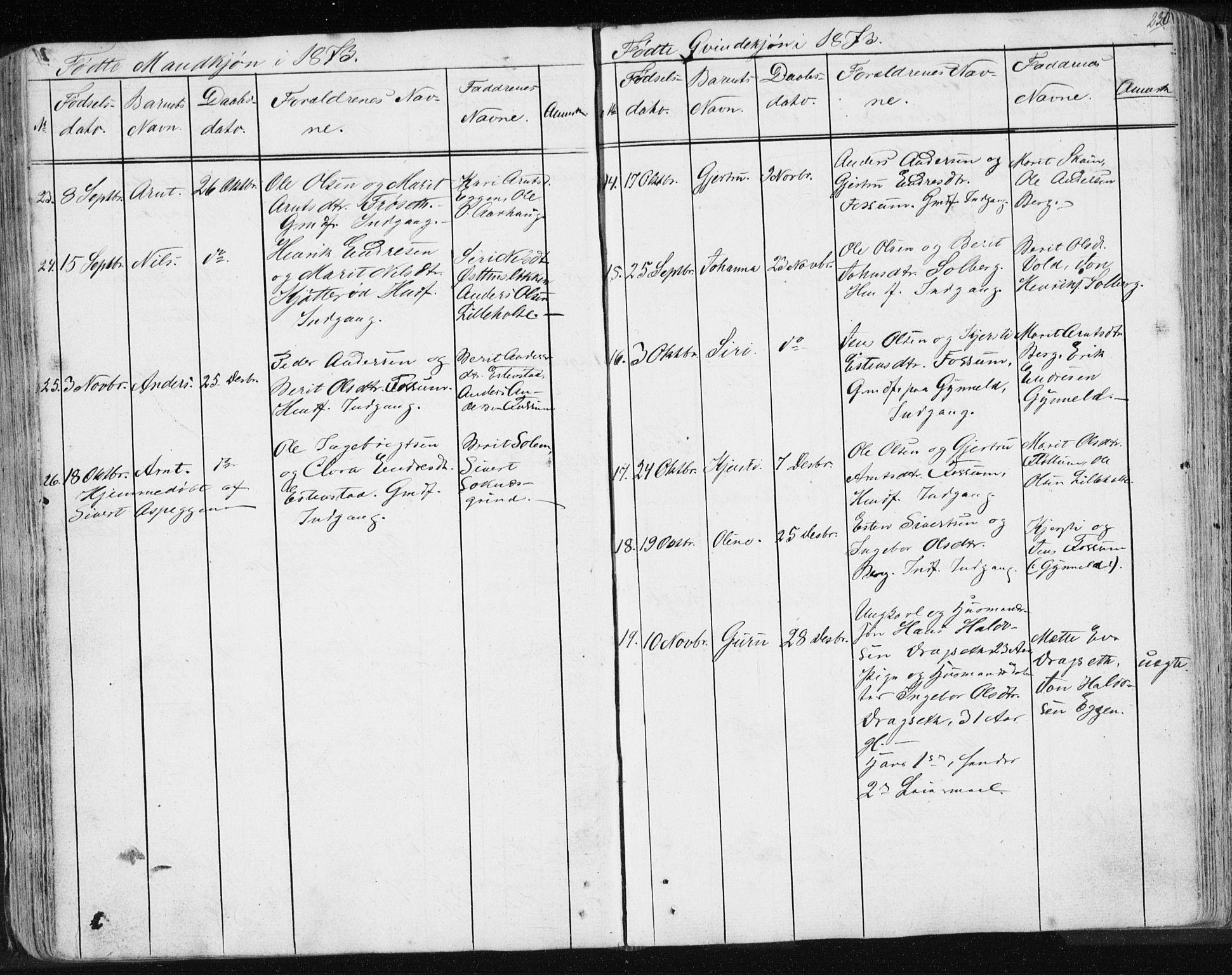 Ministerialprotokoller, klokkerbøker og fødselsregistre - Sør-Trøndelag, SAT/A-1456/689/L1043: Parish register (copy) no. 689C02, 1816-1892, p. 230