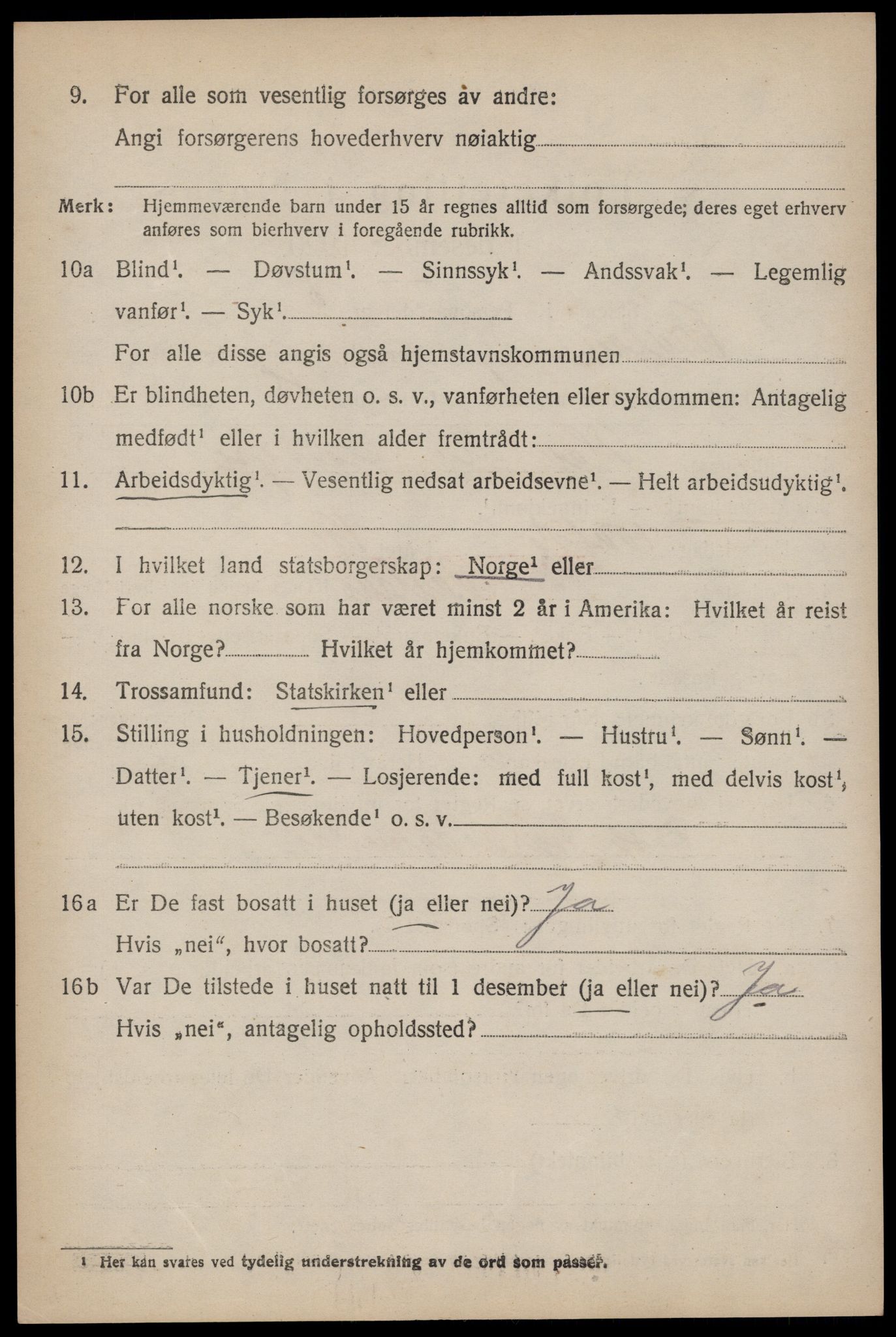 SAKO, 1920 census for Rauland, 1920, p. 1019