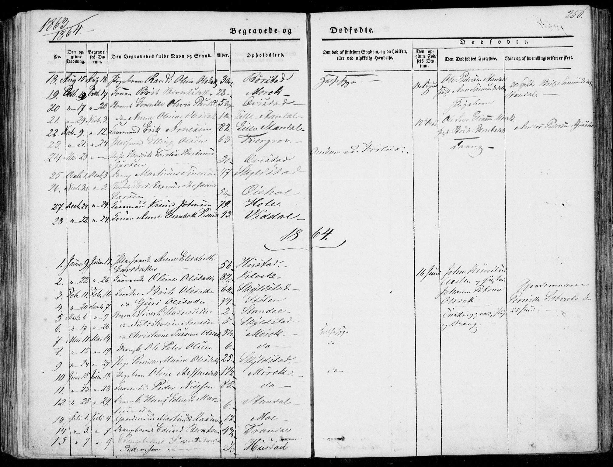 Ministerialprotokoller, klokkerbøker og fødselsregistre - Møre og Romsdal, AV/SAT-A-1454/515/L0209: Parish register (official) no. 515A05, 1847-1868, p. 256