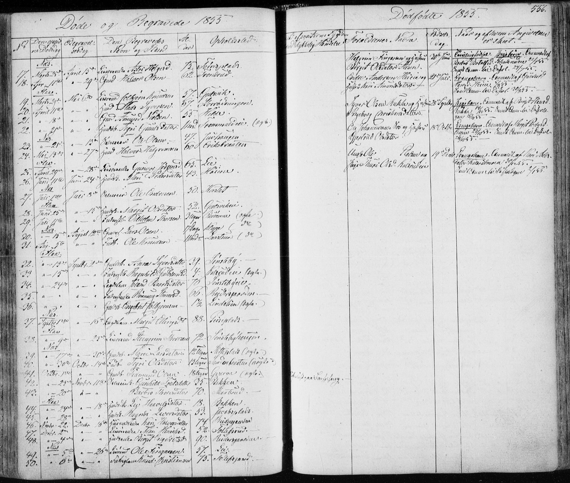 Nes kirkebøker, AV/SAKO-A-236/F/Fa/L0009: Parish register (official) no. 9, 1834-1863, p. 556