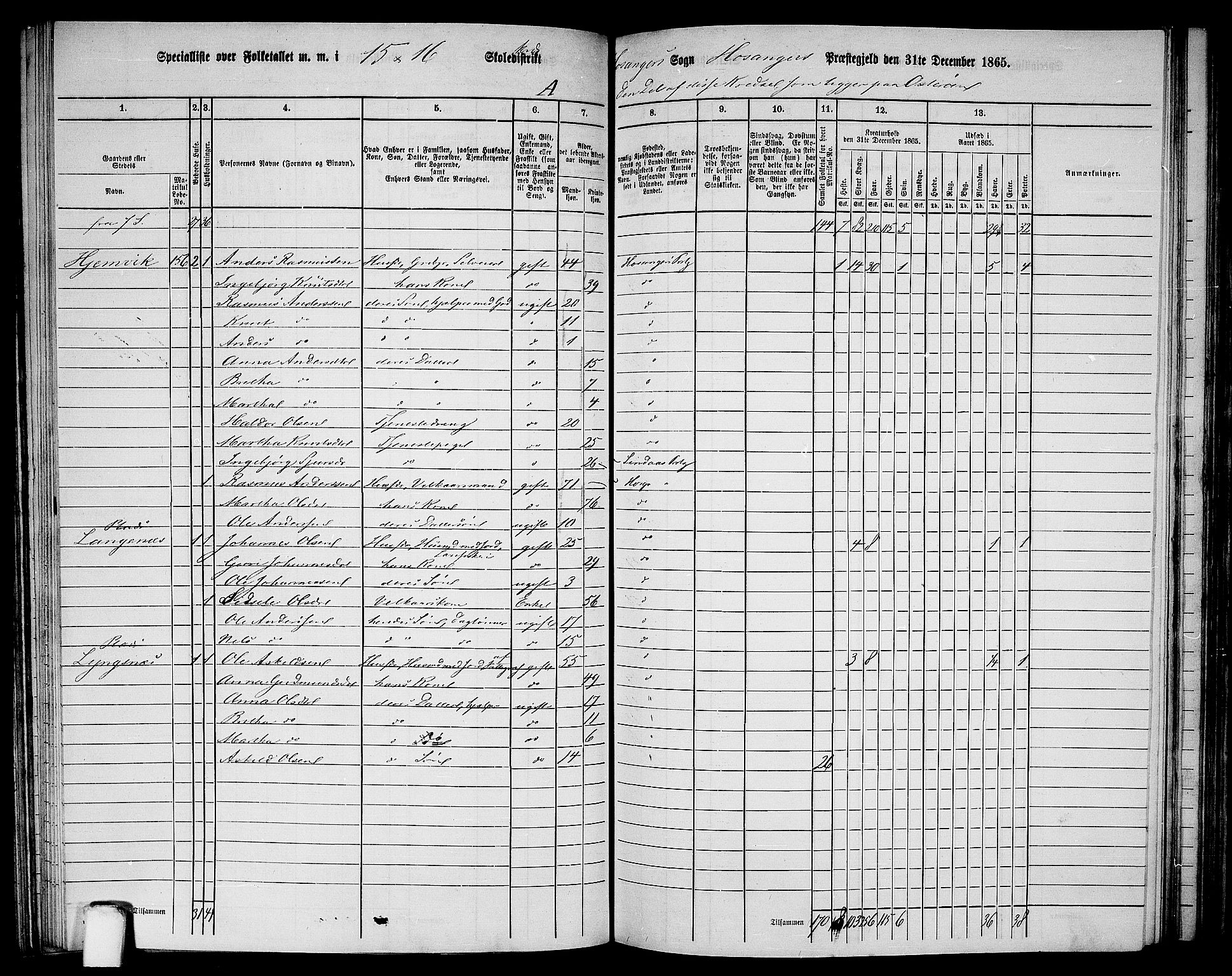 RA, 1865 census for Hosanger, 1865, p. 96