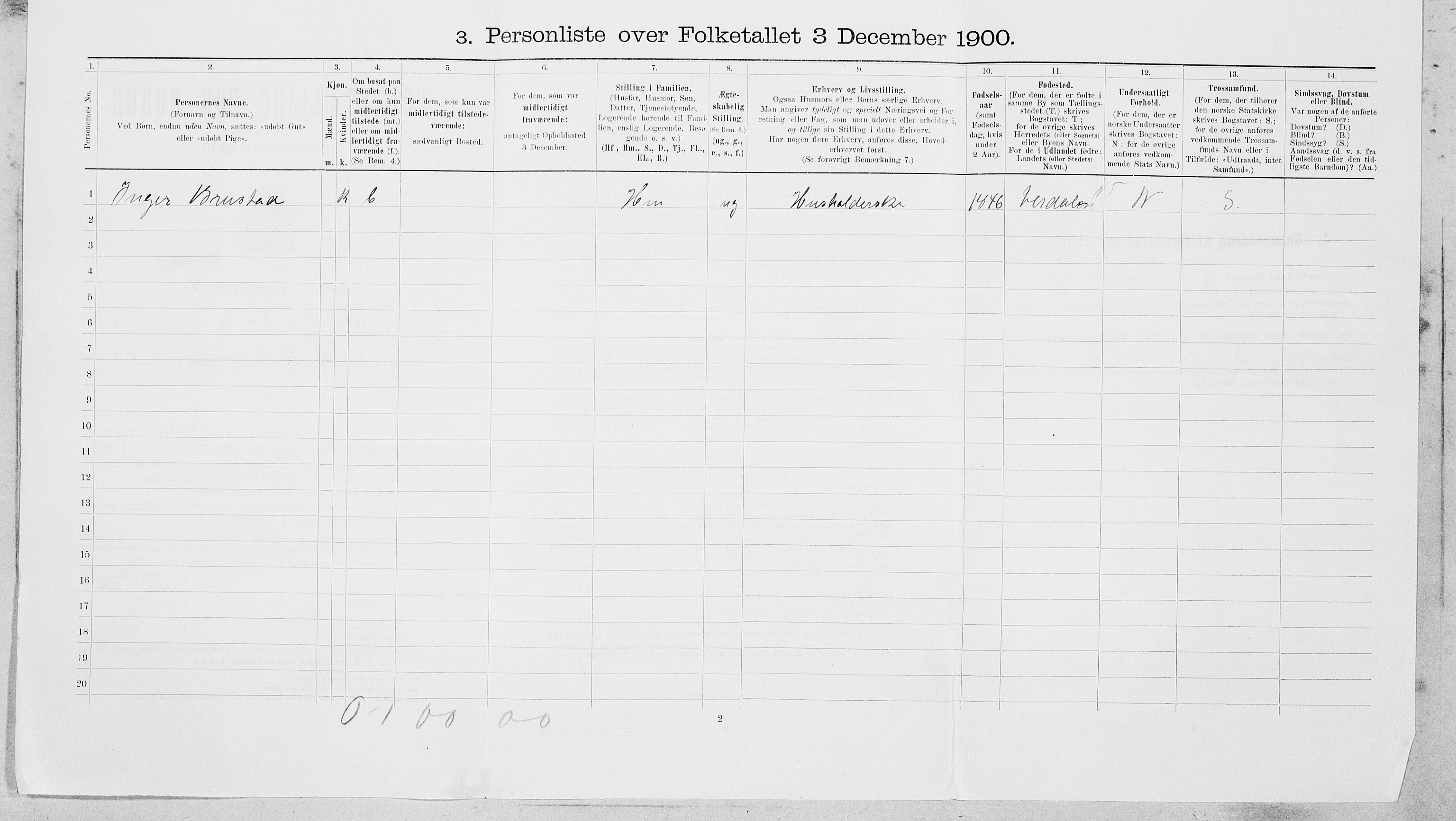 SAT, 1900 census for Steinkjer, 1900, p. 225